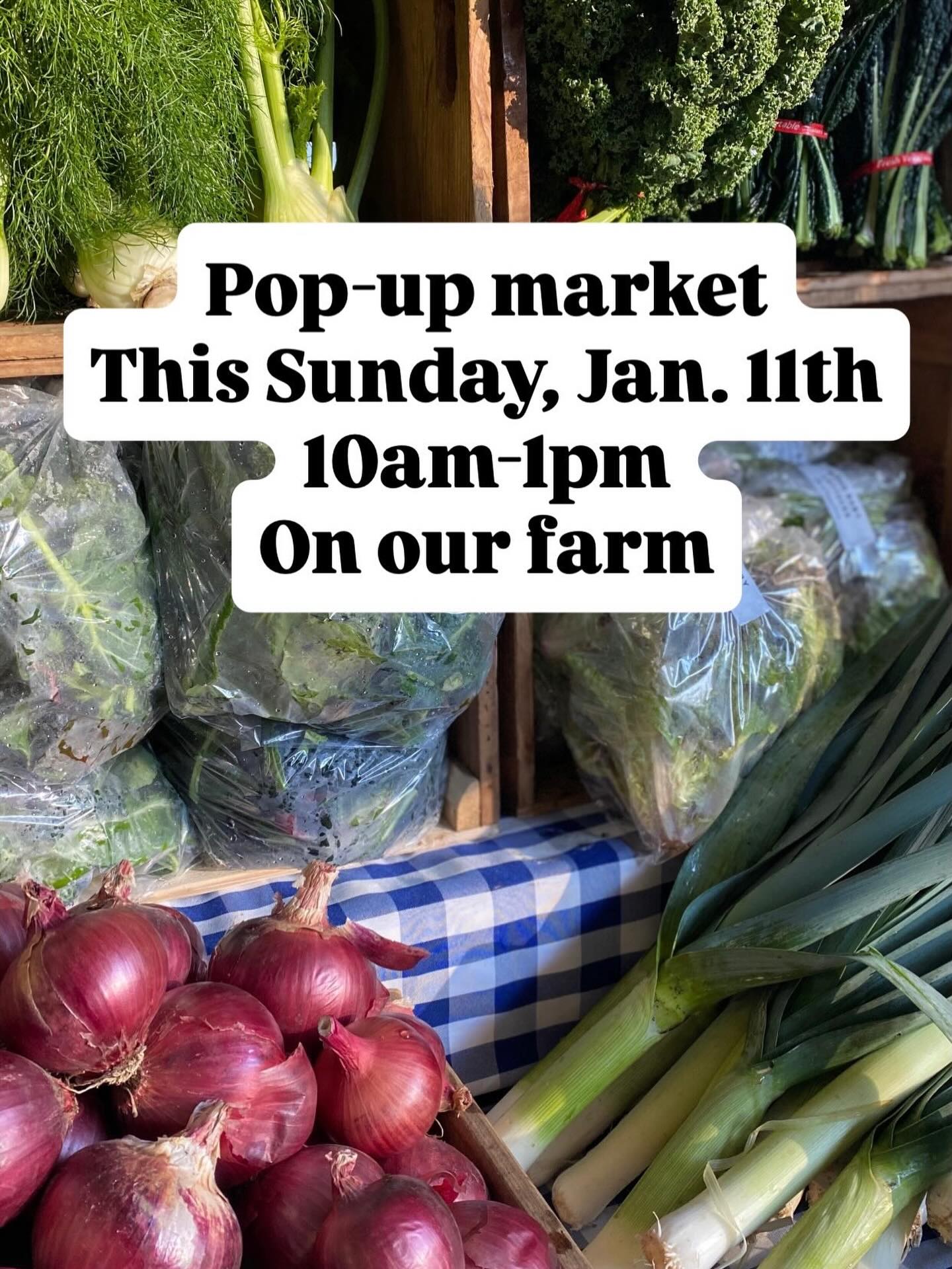 The weather looks sunny for our upcoming pop-up market on the farm. Note that the pop-up is a Sunday this time. We will have our usual: beautiful veggies, ferments, maple syrup and delicious homemade sweet and savory baked goods. #sliceofheavenfarm