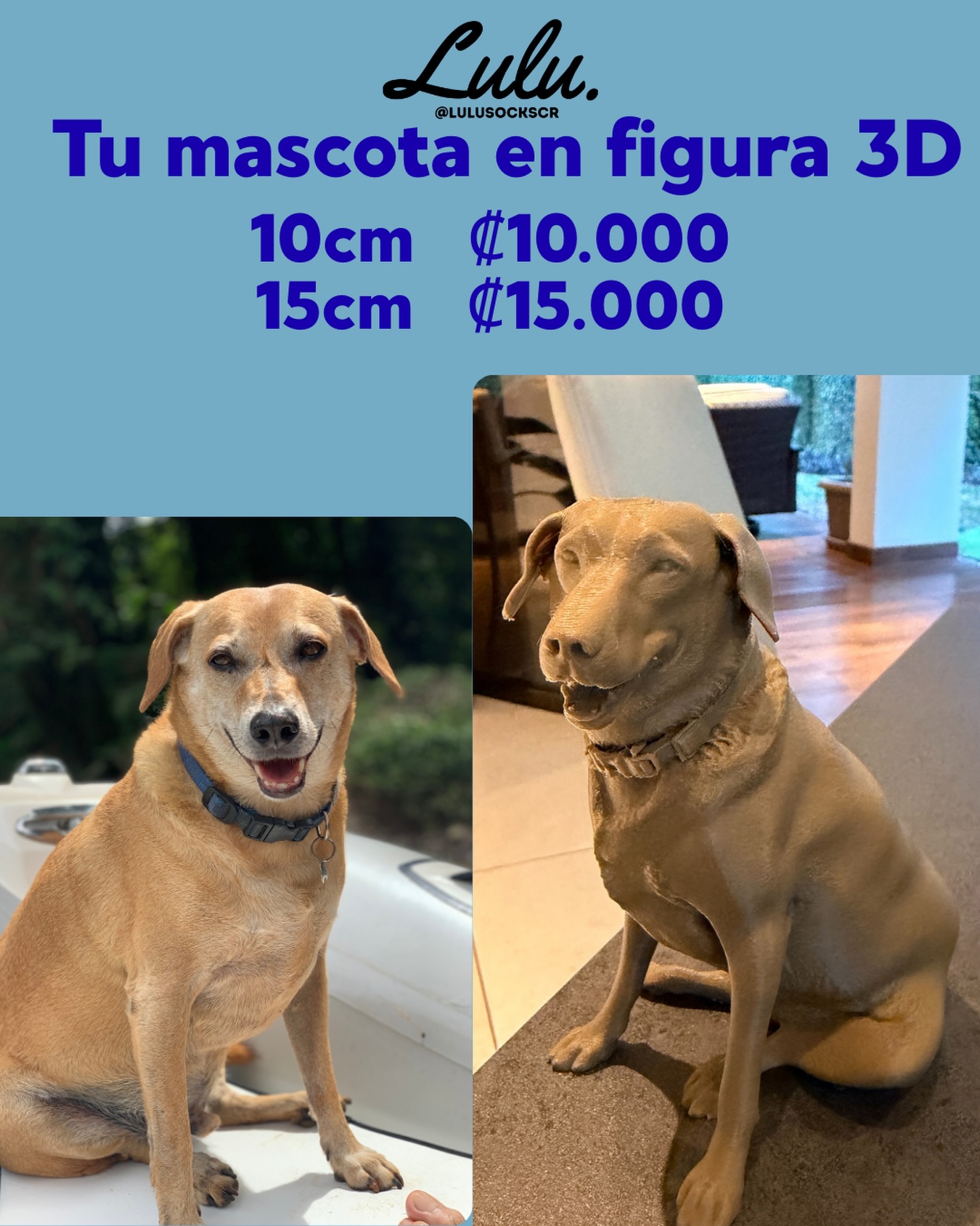 Con solo una foto de tu mascota, hacemos una figura en 3D! Escribenos para hacer tu pedido.