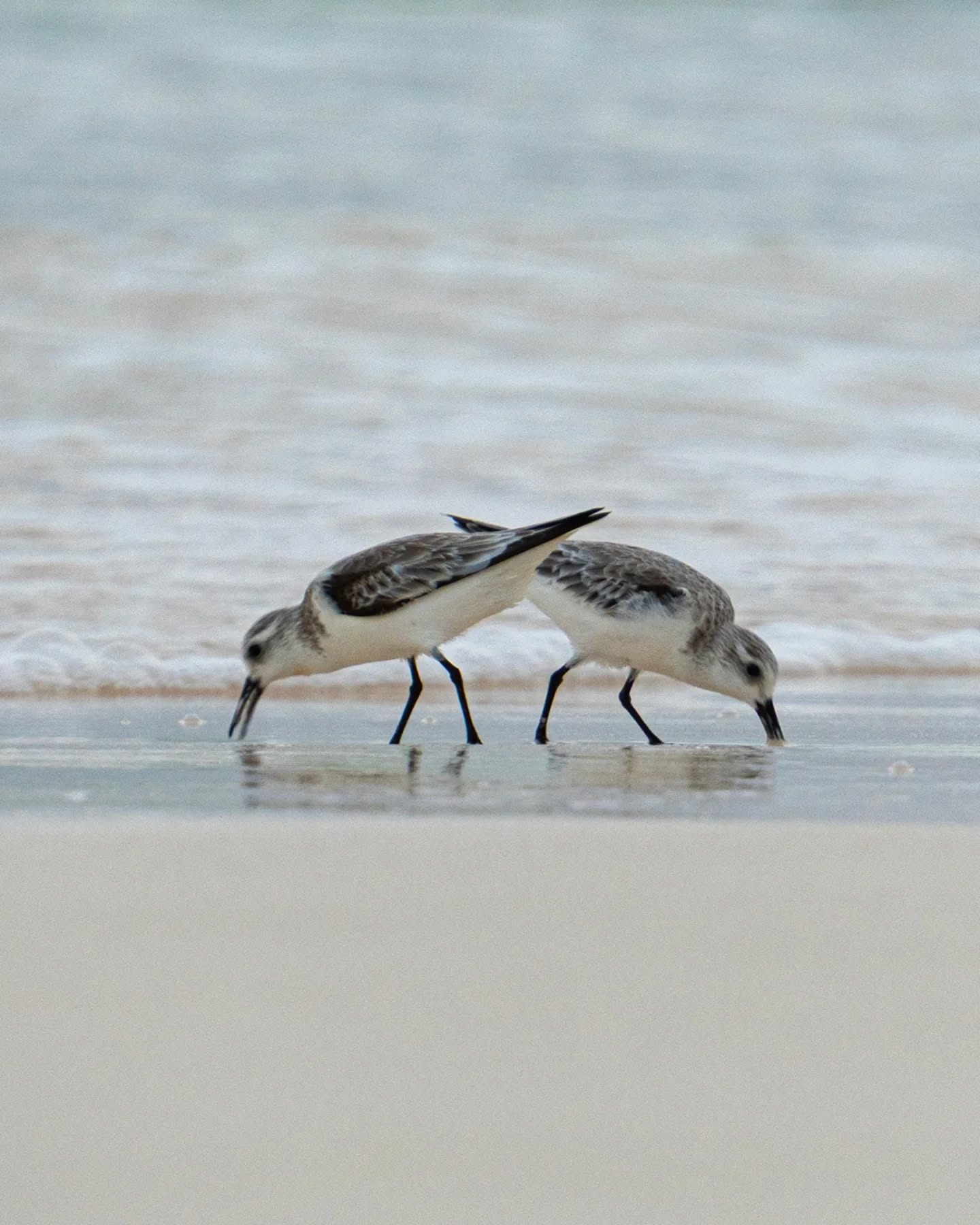 Frames from the last day of the year.
2025 was all about running and chasing dreams.
2026 is about living and enjoying them.
