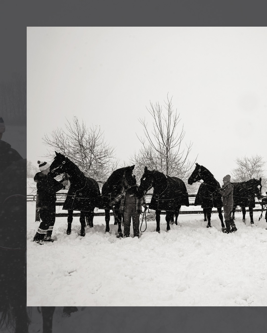 Many hands make light work/ make a photoshoot with many horses possible (in the most wintry of conditions! ❄️🥶)
#tufftherapeuticridingfoundation #tufftherapeuticriding #horsephotoshoot #ontariowinter