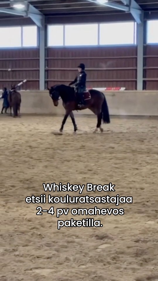Taitavalle 5-vuotiaalle Whiskeylle etsitään kouluratsastajaa 2-4pv omahevospaketilla. Mikäli kouluratsastus on sun juttu ja kiinnostaa edetä kohti kisakenttiä Whiskeyn kanssa, niin lue lisää meidän sivuilta omahevonen.fi tai ota yhteyttä meidän opettajaan Noraan.
☎️ 044-4946770 / Nora
#omahevonen #happyriders #kouluratsastus