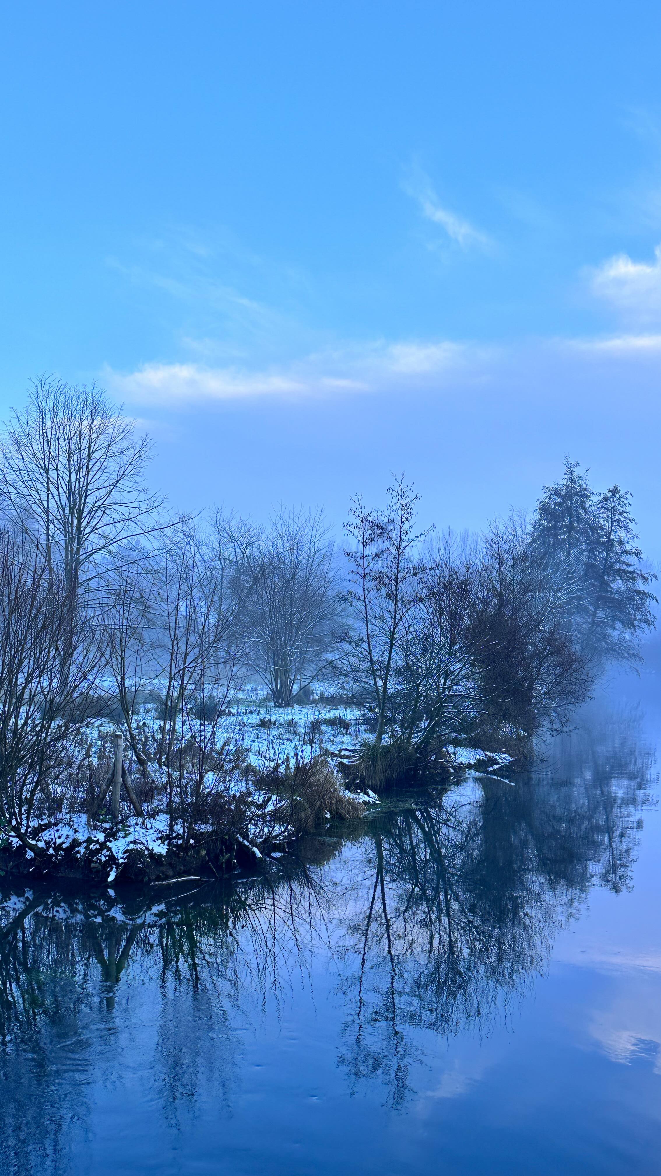 Conte des brumes hivernales.
#picardie #somme #lasommeblog #lasommemonamour #wintermärchen
