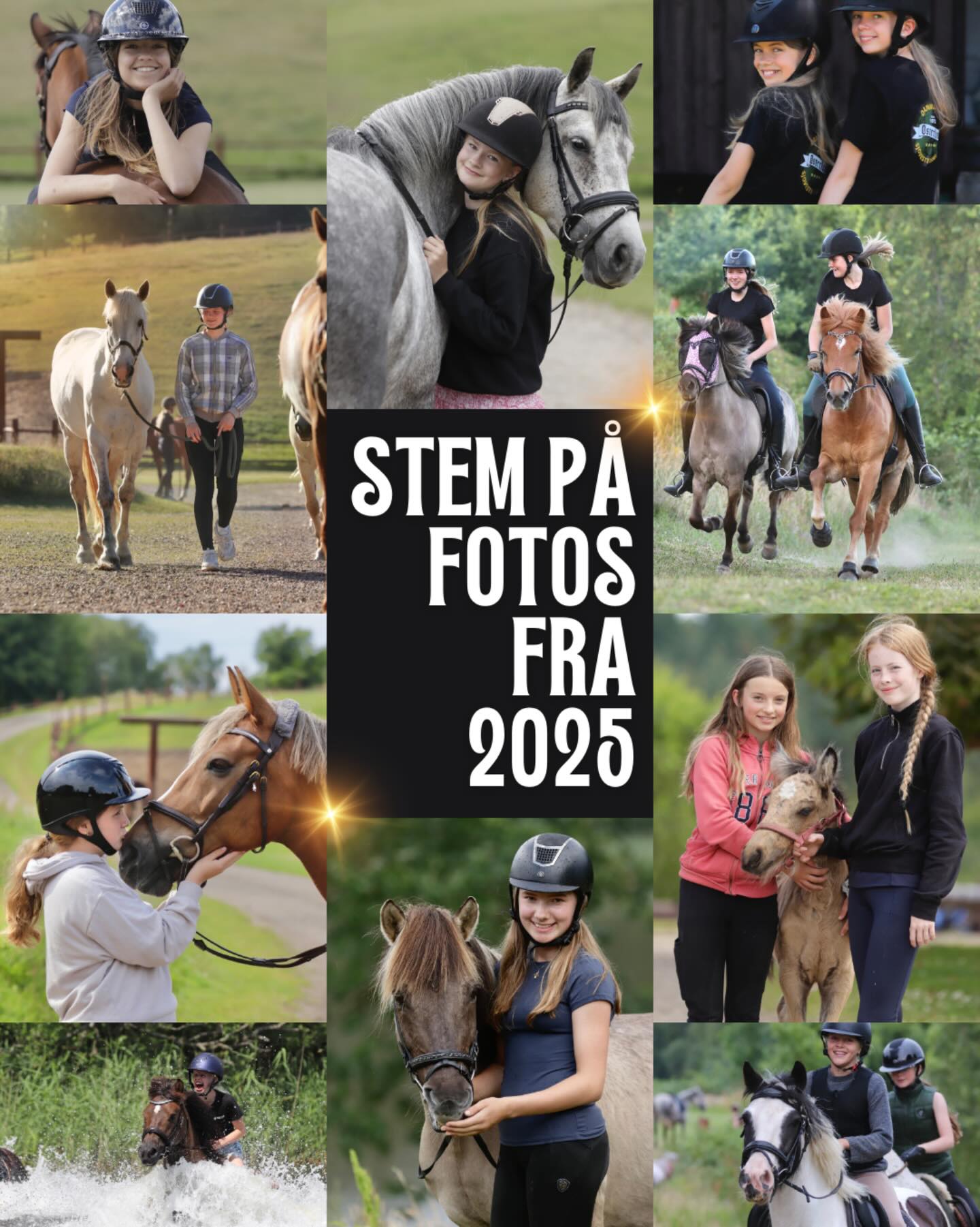 (2/5) Hvilke foto er det bedste? Vi vil i 5 opslag finde de bedste fotos fra 2025. Skriv tallet i kommentaren på det foto du bedst kan lide. Tallet står nederst i bunden på hvert foto❣️- I hvert af de 5 opslag finder vi et vinderfoto - det som flest har stemt på. De 5 fotos med flest stemmer vil dyste om 1. pladsen til sidst. Alle der stemmer har mulighed for at vinde en gave som vi offentliggør til slut💝