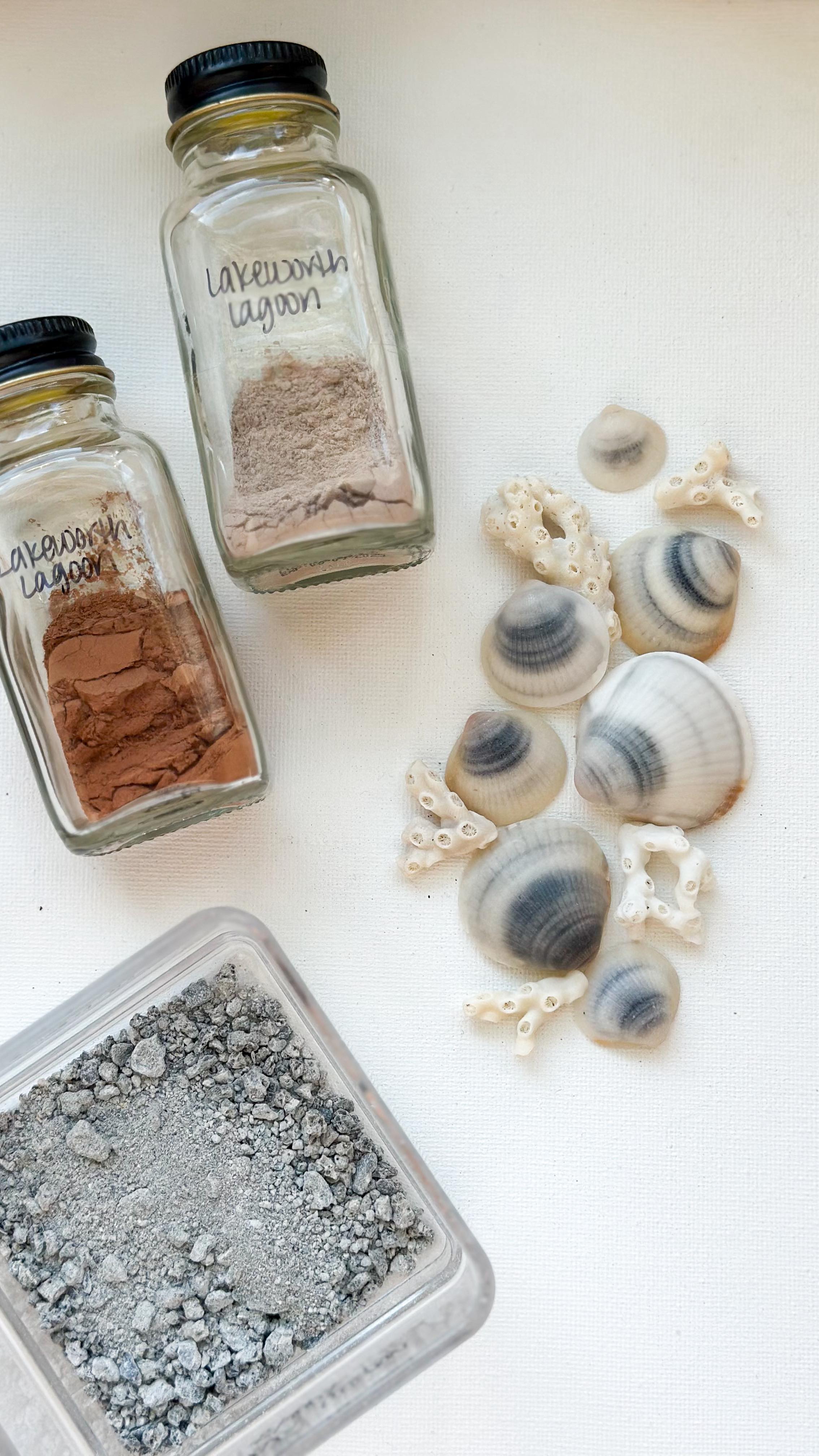 These shells really tested me but finishing each one was so satisfying!
•
I am obsessed with the colors in the background I made from rocks and shells found at Lakeworth Lagoon here in Florida. And then adding these shells we found there as well to pop off the canvas is everything I imagined this piece to be! Sharing the finished piece soon