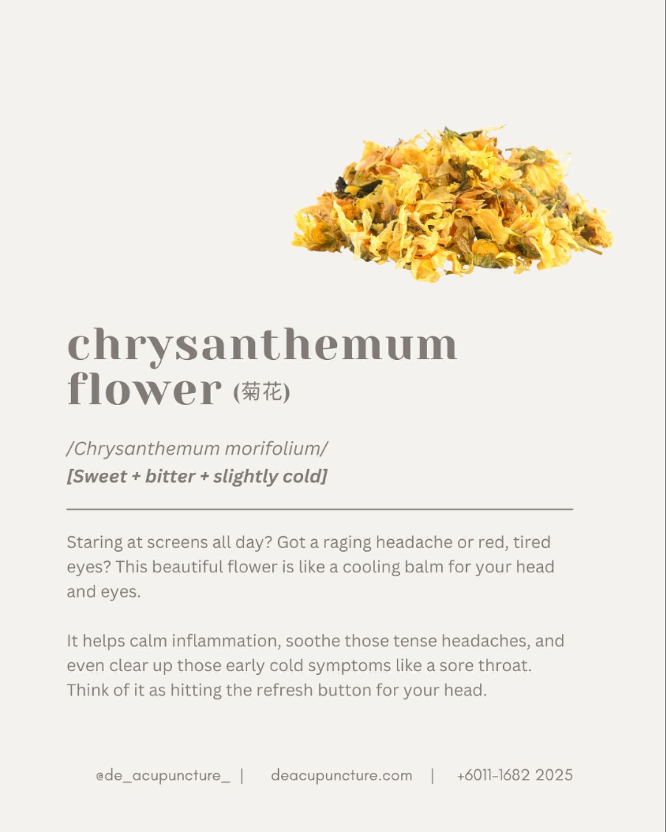 Feeling heaty—dry eyes, headache, or a little too warm?
You need Chrysanthemum Flower (Ju Hua 菊花) Tea!
In TCM, this beautiful flower is a gentle, powerful cooling herb, famous for two main actions:
🌼 Clear Liver Heat & Brighten Eyes
In TCM, the Liver is connected to your eyes. Chrysanthemum cools the Liver, relieving screen-induced fatigue, dryness, redness, and headaches. It’s perfect for late nights and high stress!
🌼 Dispels Heat & Toxins
It clears internal heat that causes mild fevers, sore throats, and that overall feeling of being “overheated” or restless.
Quick Tip:
Add Goji Berries to your tea to nourish your system while you cool down.
If you are chronically anxious, sleepless, or your symptoms persist, talk to a professional!
While tea helps, a TCM practitioner can diagnose the root cause of your internal heat or imbalance.
Ready to cool down and calm your mind? 💖
#Chrysanthemum #JuHua #TCM #HerbalTea #Heatiness #EyeHealth #StressRelief #Wellness #Malaysia