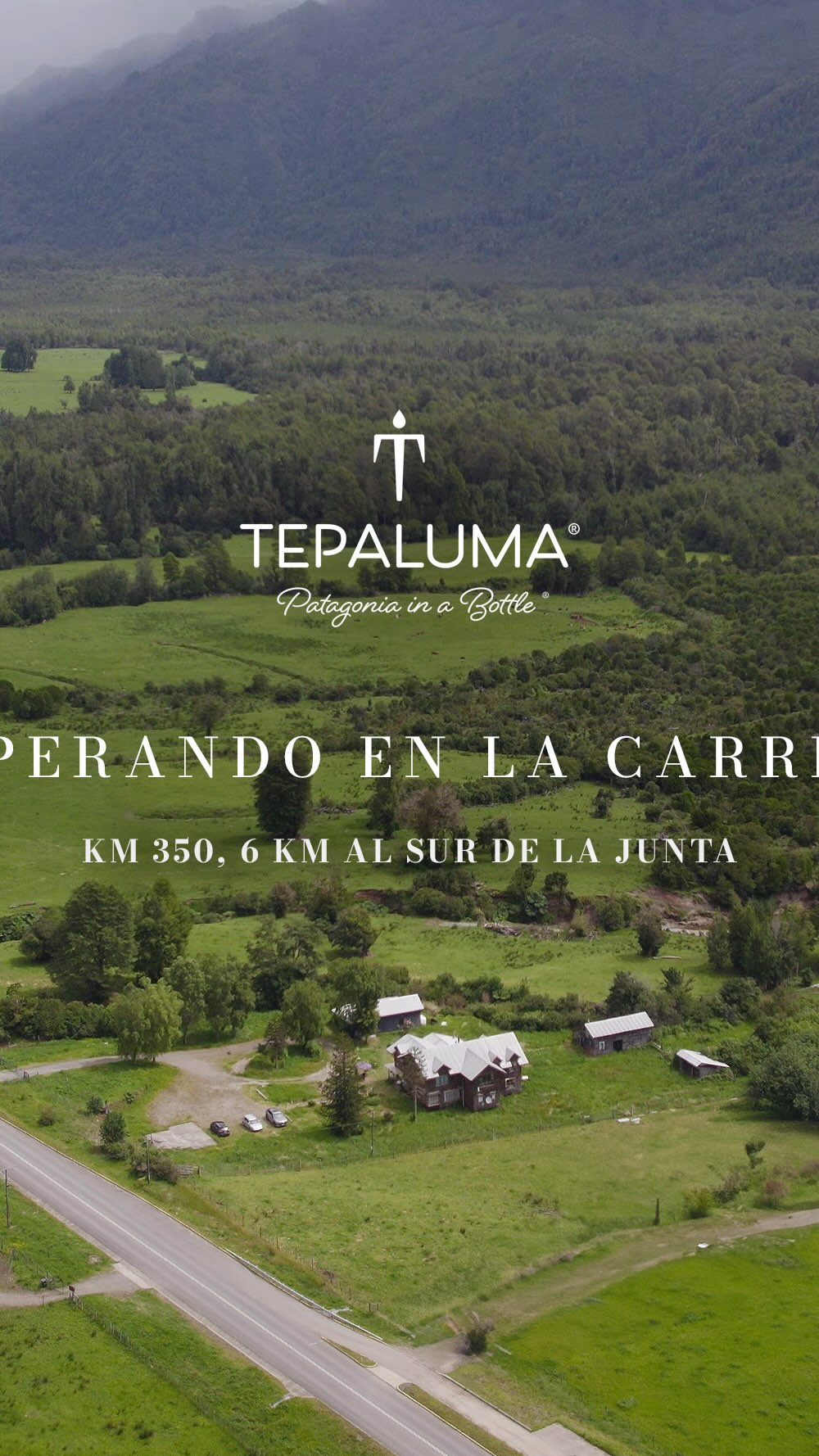 Aquí, el agua es pura, el bosque manda y el tiempo se respeta. En plena Patagonia chilena, destilamos botánicos reales, recolectados con cuidado, transformando naturaleza viva en destilados únicos 🌱🔥
Este verano te invitamos a conocer nuestro origen, caminar la destilería y entender por qué Tepaluma nace solo aquí, en la Carretera Austral.
🗓 Enero a marzo
📍 Carretera Austral km 350
👉 Reserva tu tour en tepaluma.com/tour
Real. Salvaje. Icónico. Tepaluma®
📍 En la Región de Aysén distribuye Gran Calafate (+56 9 3233 0996) y nos encuentras en un sinnúmero de botillerías, supermercados y tiendas especializadas.
….
⚠️ ᴀᴅᴠᴇʀᴛᴇɴᴄɪᴀ: ᴇʟ ᴄᴏɴsᴜᴍᴏ ɴᴏᴄɪᴠᴏ ᴅᴇ ᴀʟᴄᴏʜᴏʟ ᴅᴀñᴀ ᴛᴜ sᴀʟᴜᴅ I ɴᴏ ʙᴇʙᴇʀ ᴀʟ ᴄᴏɴᴅᴜᴄɪʀ I ʀɪᴇsɢᴏ ᴘᴀʀᴀ ᴛᴜ ʙᴇʙé I ɴᴏ ʙᴇʙᴇʀ ᴍᴇɴᴏʀᴇs ᴅᴇ 𝟷𝟾 ᴀñᴏs I ᴍɪɴɪsᴛᴇʀɪᴏ ᴅᴇ sᴀʟᴜᴅ
ℹ️ᴠᴀʟᴏʀ ᴇɴᴇʀɢéᴛɪᴄᴏ ᴅᴇ ᴛᴇᴘᴀʟᴜᴍᴀ ɢɪɴ: 𝟸𝟺𝟶 ᴋᴄᴀʟ ᴘᴏʀ ᴄᴀᴅᴀ 𝟷𝟶𝟶 ᴍʟ I ᴛᴇᴘᴀʟᴜᴍᴀ ᴍᴀǫᴜɪ ɢɪɴ: 𝟸𝟷𝟽 ᴋᴄᴀʟ ᴘᴏʀ ᴄᴀᴅᴀ 𝟷𝟶𝟶 ᴍʟ I ᴛᴇᴘᴀʟᴜᴍᴀ ɢɪɴ ᴀñᴇᴊᴀᴅᴏ: 𝟸𝟺𝟻 ᴋᴄᴀʟ ᴘᴏʀ ᴄᴀᴅᴀ 𝟷𝟶𝟶 ᴍʟ
#TepalumaGin #Patagonia #PatagoniaChilena #DestileríaTepaluma #CarreteraAustral Chile
