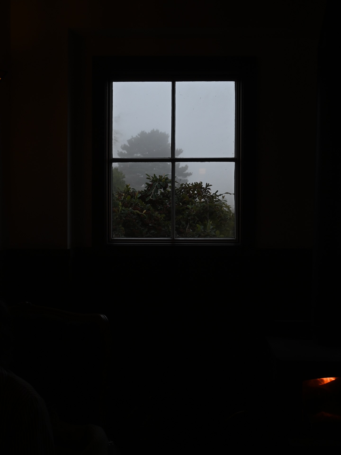 When the coast turns gray, we turn up the glow. Warm fires, quiet pours, and Waiting Room bites.
Find us on the corner of Ukiah & Evergreen. 🌲
#WinterSeason #Hygge #GetCozy #WeekendPlans #Mendocino