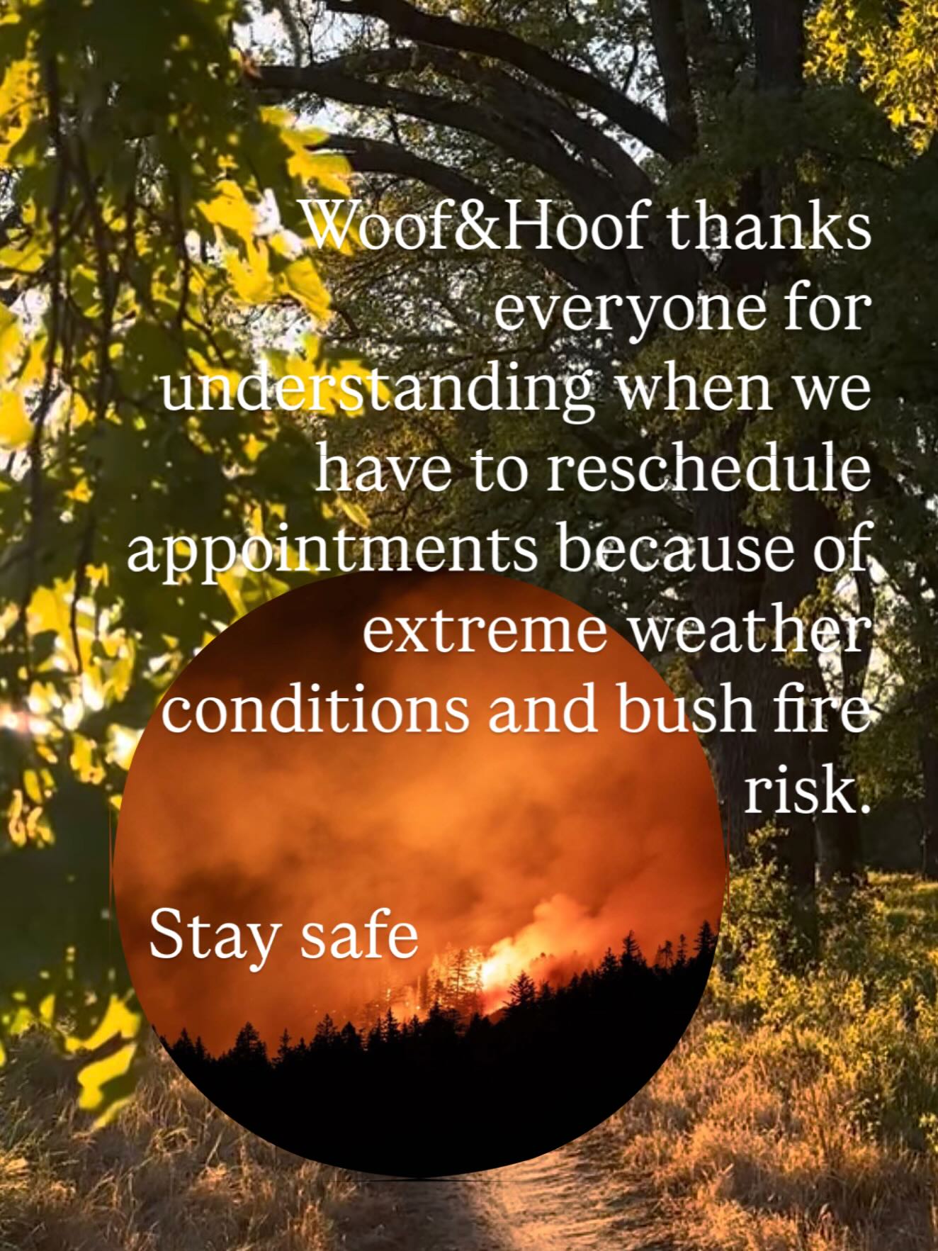 Thanks for understanding everyone. When it’s too hot or there are bush fires in the area I will ask to reschedule our appointment and try and fit you in as soon as possible.