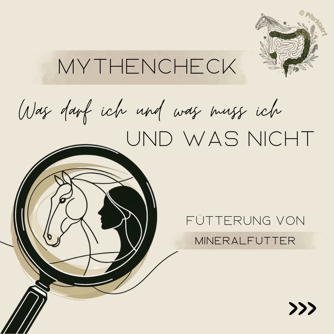 Was schreibt dir das Gesetz bezüglich Fütterung eigentlich vor – und was nicht?
Rund um Pferdehaltung und Fütterung wird häufig mit „dem Gesetz“ argumentiert. Viele Vorgaben klingen absolut, dabei ist oft gar nicht klar, was tatsächlich gesetzlich geregelt ist und was eher Empfehlung, Interpretation oder Hörensagen ist.
Genau diese Unsicherheit begegnet mir immer wieder in Fragen aus der Praxis. In diesem Beitrag schauen wir uns daher genau diese Frage an und konzentrieren uns dabei ganz bewusst auf ein Thema, zu dem ich besonders häufig Fragen bekomme: Bin ich verpflichtet, meinem Pferd MINERALFUTTER zu füttern?
Kurzfassung: Nein – so pauschal ist das rechtlich nicht korrekt.
Und nun die Langfassung:
Wichtig vorab: Ich bin keine Juristin. Ich arbeite jedoch seit Jahren fachlich mit dem Thema Pferdefütterung, setze mich intensiv mit rechtlichen Rahmenbedingungen auseinander.
Ich habe mir dennoch juristische Unterstützung geholt und Herrn Bruggmann von der Rechtsanwaltskanzlei Juravendis um eine Einordnung gebeten. Seine rechtlichen Einschätzungen werde ich hier klar als solche kenntlich machen, ebenso wie meine eigene fachliche Einordnung.
Meine Aufgabe ist es, das Ganze verständlich einzuordnen, nicht Rechtsberatung zu ersetzen.
Also, was sagt die Rechtslage wirklich?
Zunächst eine Begriffsdefinition. Ein „Mineralfuttermittel“ ist ein „Ergänzungsfuttermittel mit mindestens 40 % Rohasche“ (Verordnung (EG) Nr. 767/2009, Art. 3, Abs. 2, k). Ein „Ergänzungsfuttermittel“ ist ein „Mischfuttermittel, das einen hohen Gehalt an bestimmten Stoffen aufweist, aber aufgrund seiner Zusammensetzung nur mit anderen Futtermitteln zusammen für die tägliche Ration ausreicht“ (Verordnung (EG) Nr. 767/2009, Art. 3, Abs. 2, j).
Herr Bruggman erklärt hierzu: „Bei Mineralfuttermitteln handelt es sich also um Mischfuttermittel, die nur mit anderen Futtermitteln zusammen für die tägliche Ration ausreichen. Was genau für die tägliche Ration ausreicht, entzieht sich einer pauschalen Beurteilung. Ebenso entzieht es sich einer pauschalen Beurteilung, ob eine Zufütterung von Mineralfuttermittel erforderlich ist. Dass die gesetzlich zwingend wäre, trifft nicht zu“.
⬇️