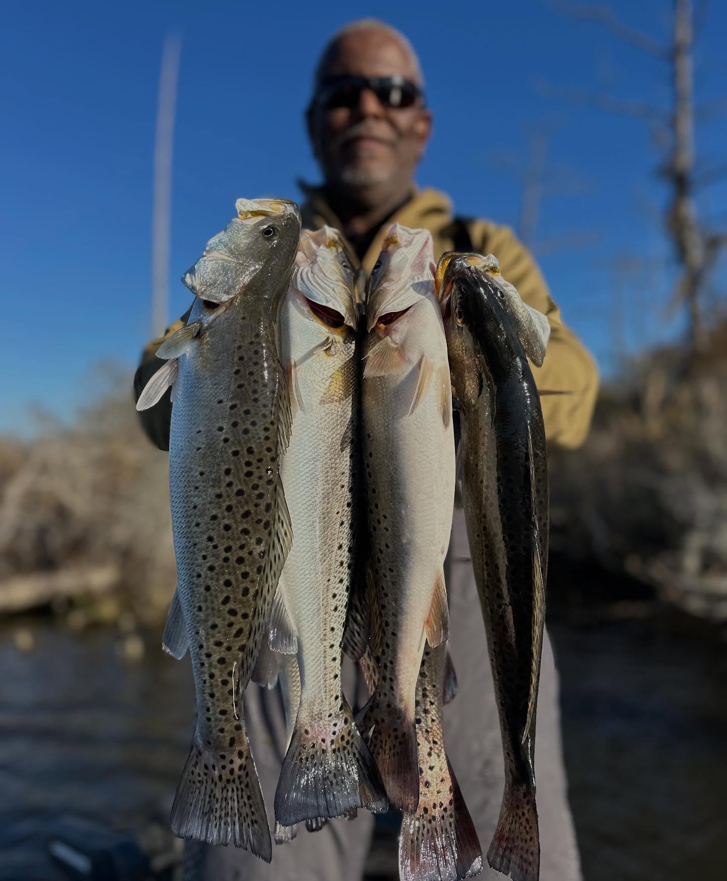 Great day of trout fishing on the Pamlico with my friend Tony. We boated a limit in minutes and stayed on em all day. If you’re looking a fun trip to get away for a day give me a call or text for availability 252-799-9536. #trout #speckledtrout #inshore #inshorefishing #winterfishing