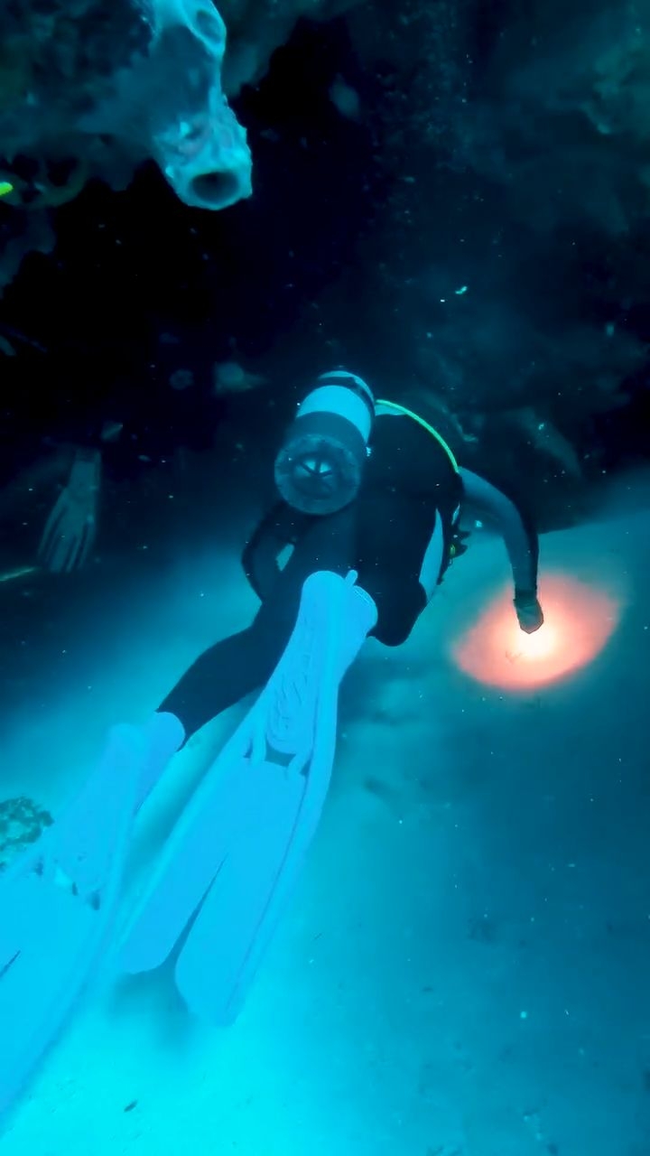 Join us as we journey through the Devil’s Throat 🤿 One of the most amazing spots in Cozumel to dive 👌🏽
Have you done this dive before?
Tell us about your experience in the comments 👇