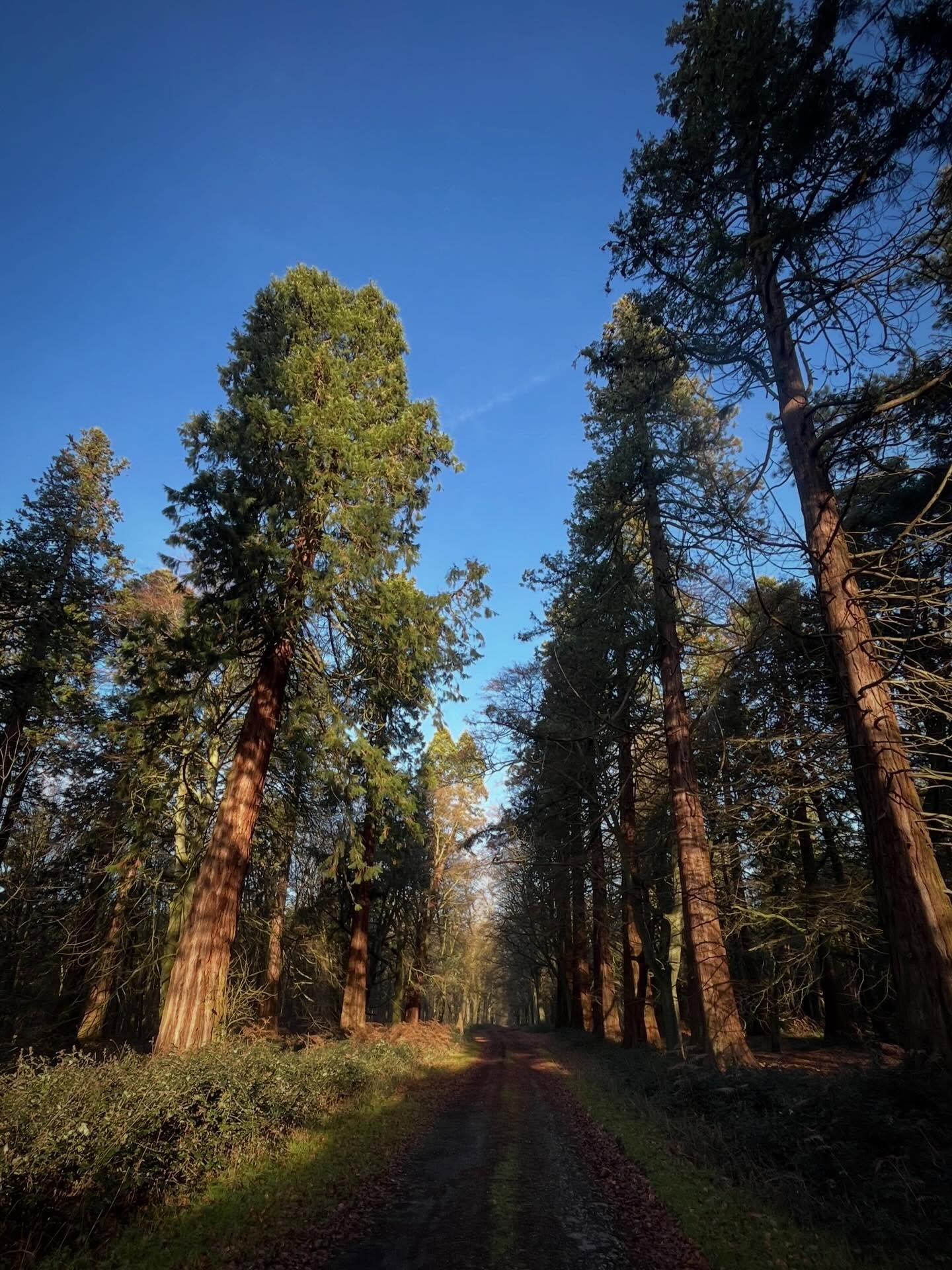 Sun to end 2025, sun to begin 2026. #hope