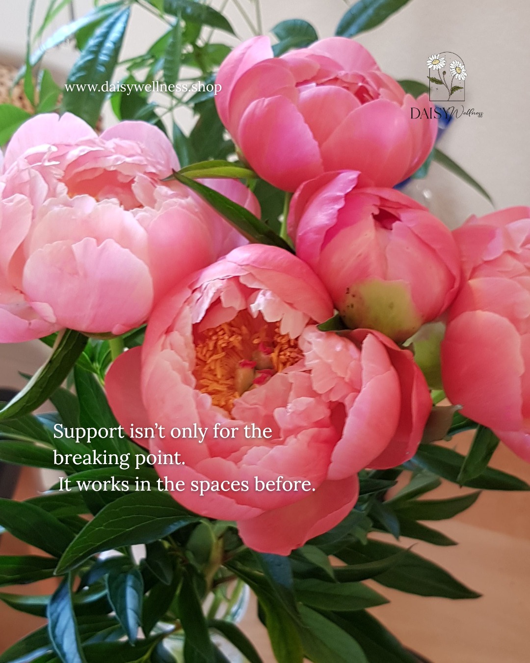 Feeling a little heavier, overwhelmed or emotionally tired?
Most of us wait until things feel unmanageable before reaching out.
But the truth is, support often works best before that. 💓
Maybe you’ve noticed you’re more tired than reactive,
or a little more withdrawn than usual.
Maybe things just feel heavier than they need to be.
That’s usually the moment where support makes the biggest difference.🍀
You don’t need a story to book.
You don’t need to have it all figured out.
You need to sense that things could feel a bit easier,
even if only in small ways.
If that feels true for you, reaching out can be the simplest first step.🌹
January sessions are open, send me a DM - I want to connect with you 😊
#daisywellnss #ReikiHealing
#hypnosishealing #mindfulness