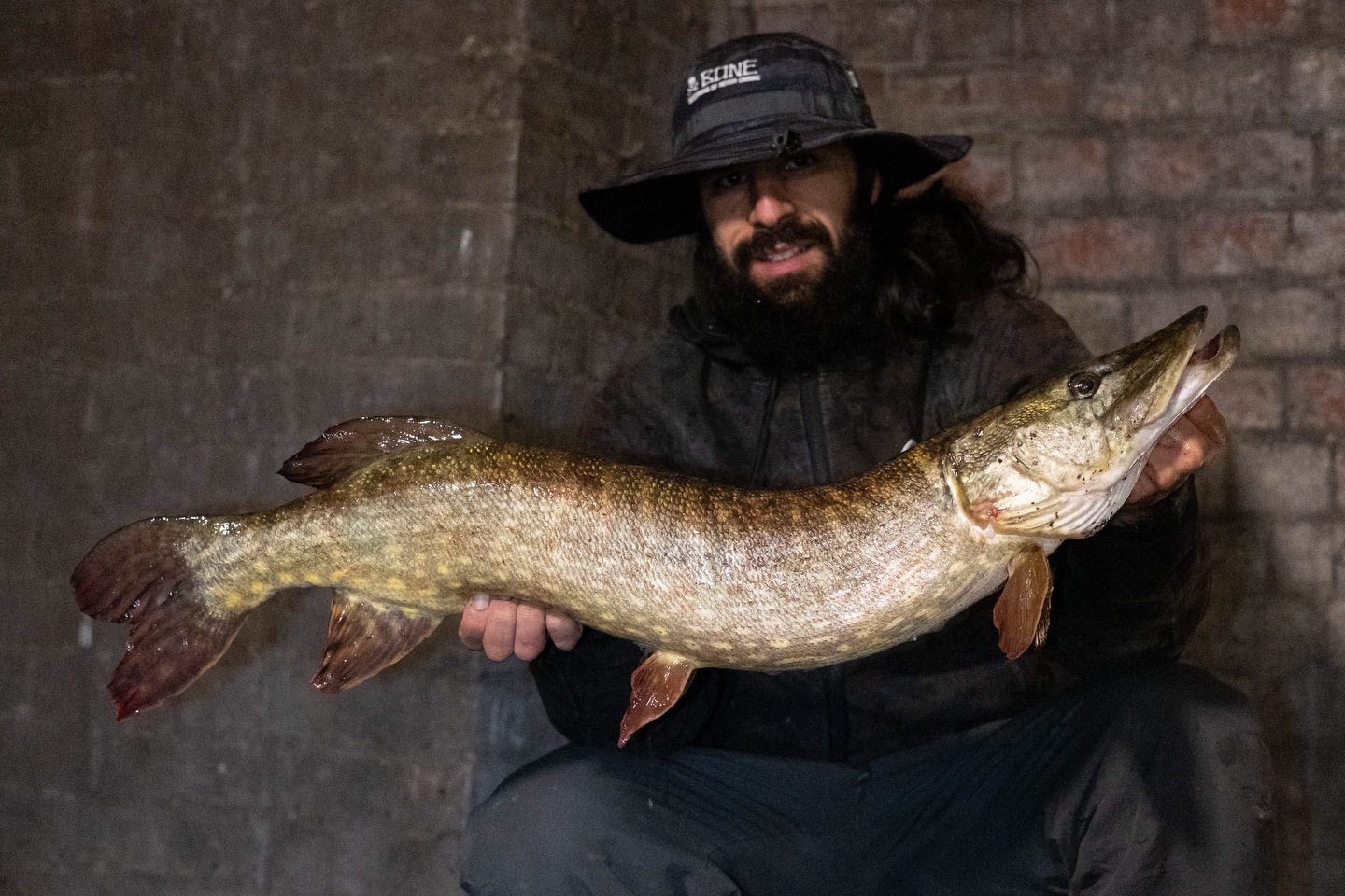Happy New Year with this fat fish!