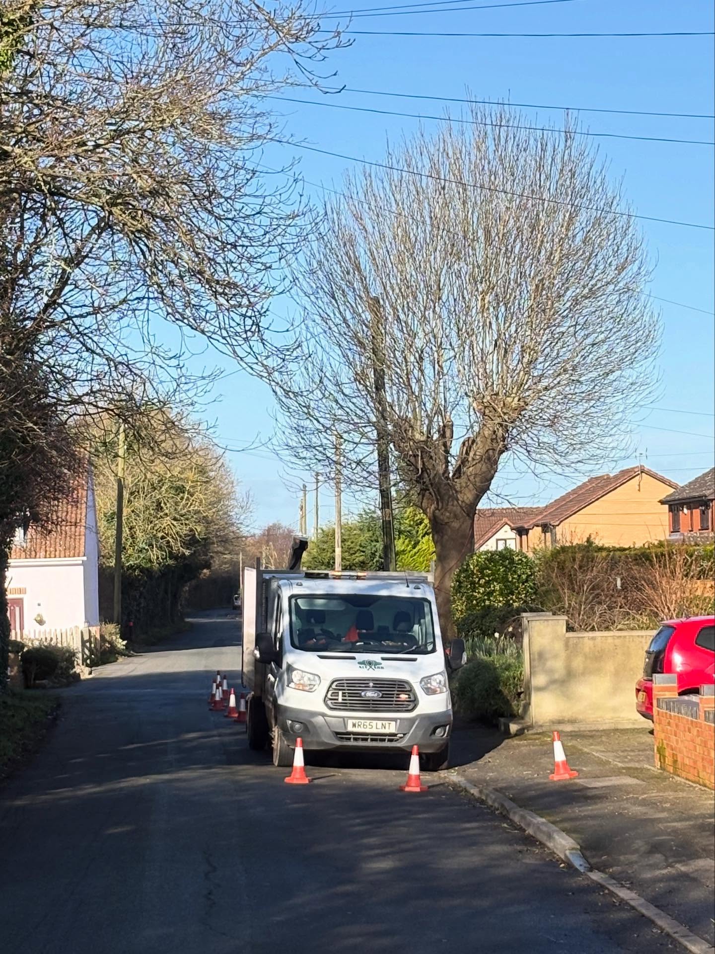 Repollarding a Common Ash tree to maintain the treeβs crown from interrupting the Utility Lines located adjacent to the tree.
Weβd previously pollarded the tree back in 2019 for our client and by maintaining the pollard weβre able to maintain the tree as a feature in the front garden of the property.
Working in conjunction with @nationalgriduk the tree work was carried out during a Power-line Shutdown due to the proximity of the Low Voltage Power-lines.
Do you have trees growing near Utility Lines that are causing concerns for you? Get in contact and see how we can assist you π
Tel: 07974884326
Email: info@altarb.co.uk
Web: www.altarb.co.uk
#treesurgerygloucestershire #treesurgeryherefordshire #treesurgeryuk #utilityarb #arborist #treesurgeon #treepreservation #treepollarding #altarbltd #nationalgrid #powerline #powerlineclearance #utilitylineclearance