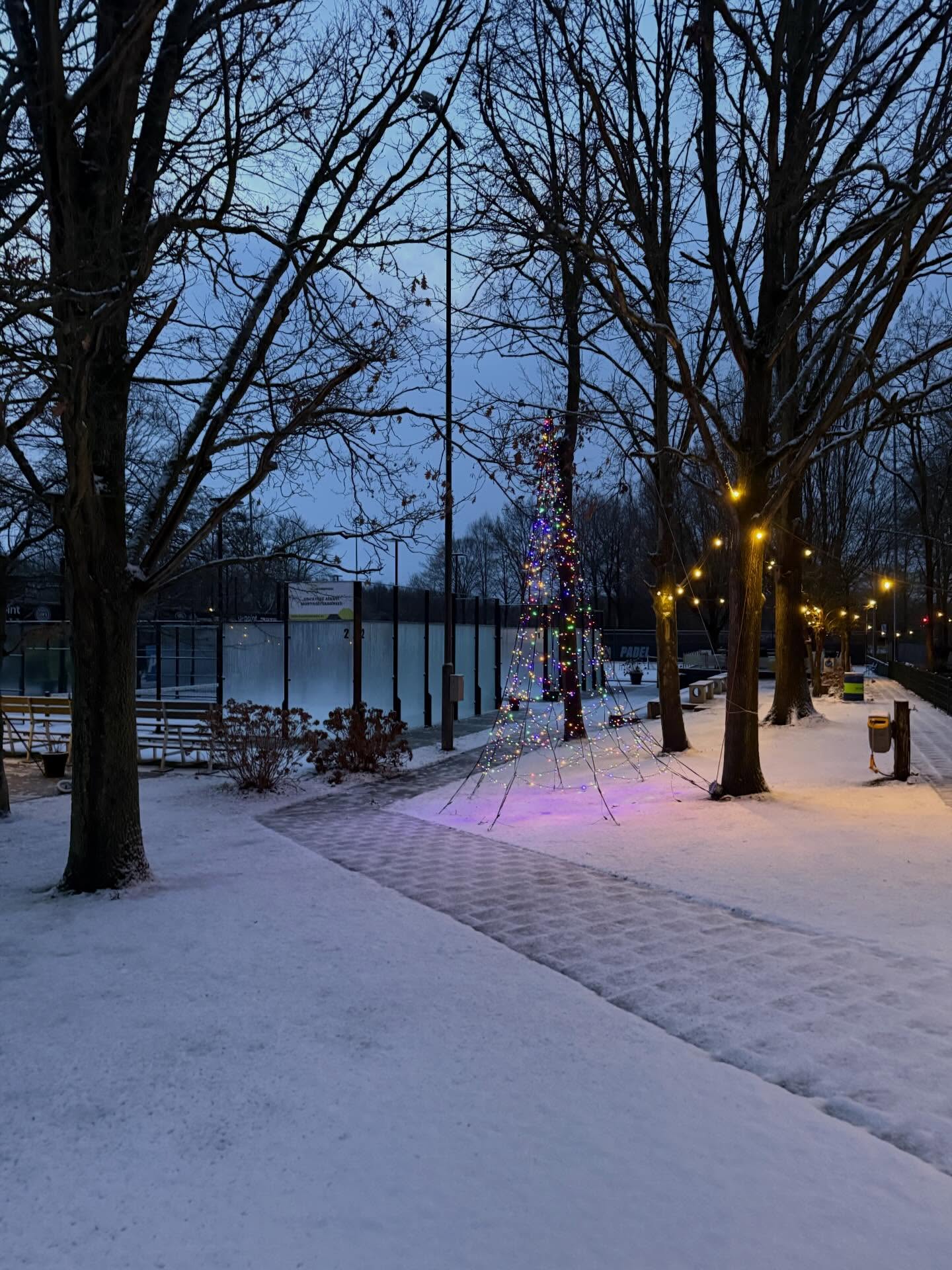Zomaar een zondagochtend in januari ☃️❄️.
