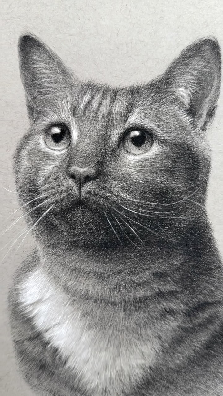 I’m looking forward to sharing this project with you guys in 2026! I get questions all the time about the pencils I use and how I draw my pet portraits, and now I’m finally going to have a good resource to point people too! More details soon, but I’m loving working with General Pencil’s on this project! Hoping that it can inspire people to draw their own pets and maybe learn a few new drawing techniques!
Hope everyone is having a happy new year!
#emilyfossumart #charcoaldrawing #artistmom #generalpencil #generalcharcoal #charcoalsketch #petportrait #petportraitartist #catportraits