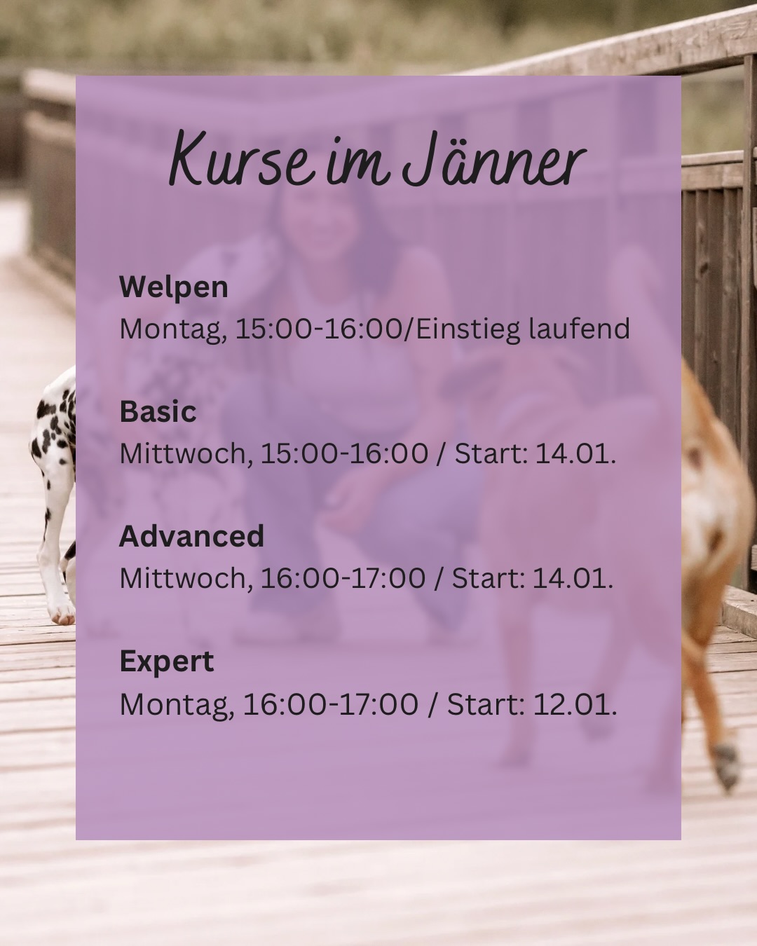 unsere Kursstarts & Termine im Jänner 🐶
#hundeschule #hundetraining #neuekurse #hundeerziehung