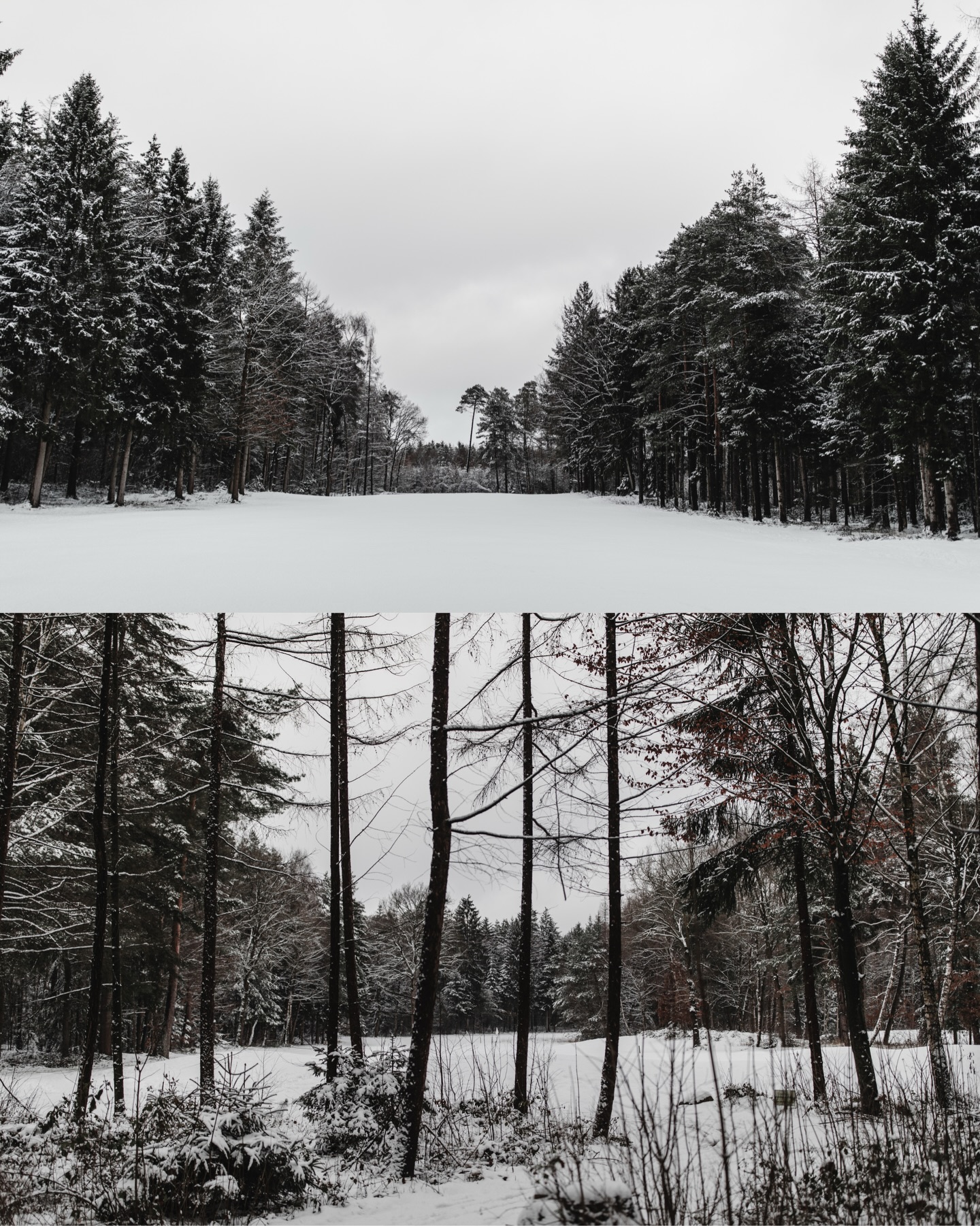 Winterwonderland #golf #golfstargram #golfplatz