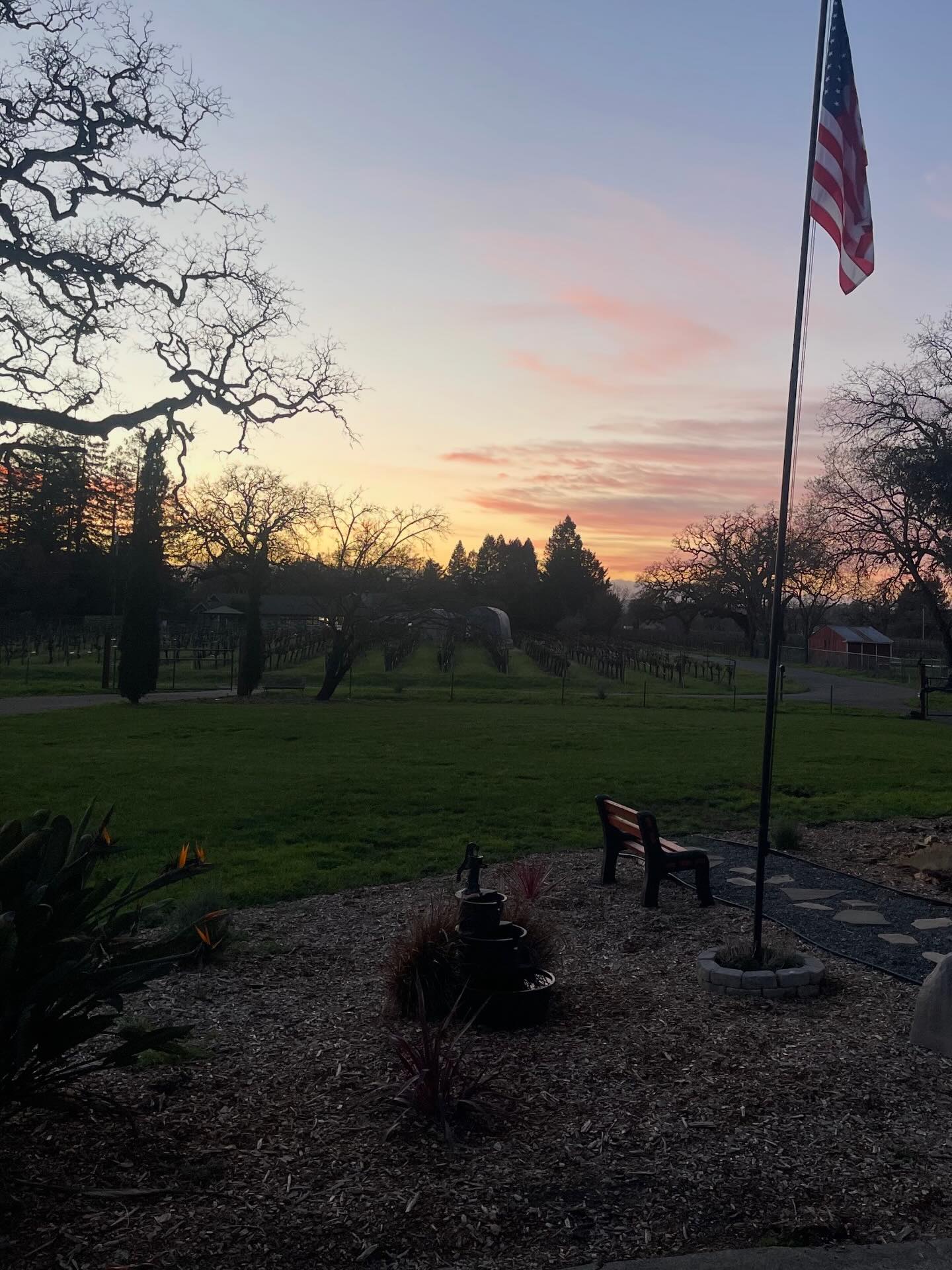 🌅 Sunset Serenity at Oak Tree Ranch 🌳
A peaceful evening with views of our vineyard, flag, and the timeless beauty of the oak trees. Every sunset here is a reminder of the calm and tranquility we cherish. 🍃
Whether you’re enjoying the quiet or taking in the breathtaking landscape, there’s no better place to unwind.
#OakTreeRanch #VineyardViews #SunsetMagic #NatureLovers #PeacefulEscape CountrysideLiving RanchLife GoldenHour NaturePhotography BeautifulSunsets