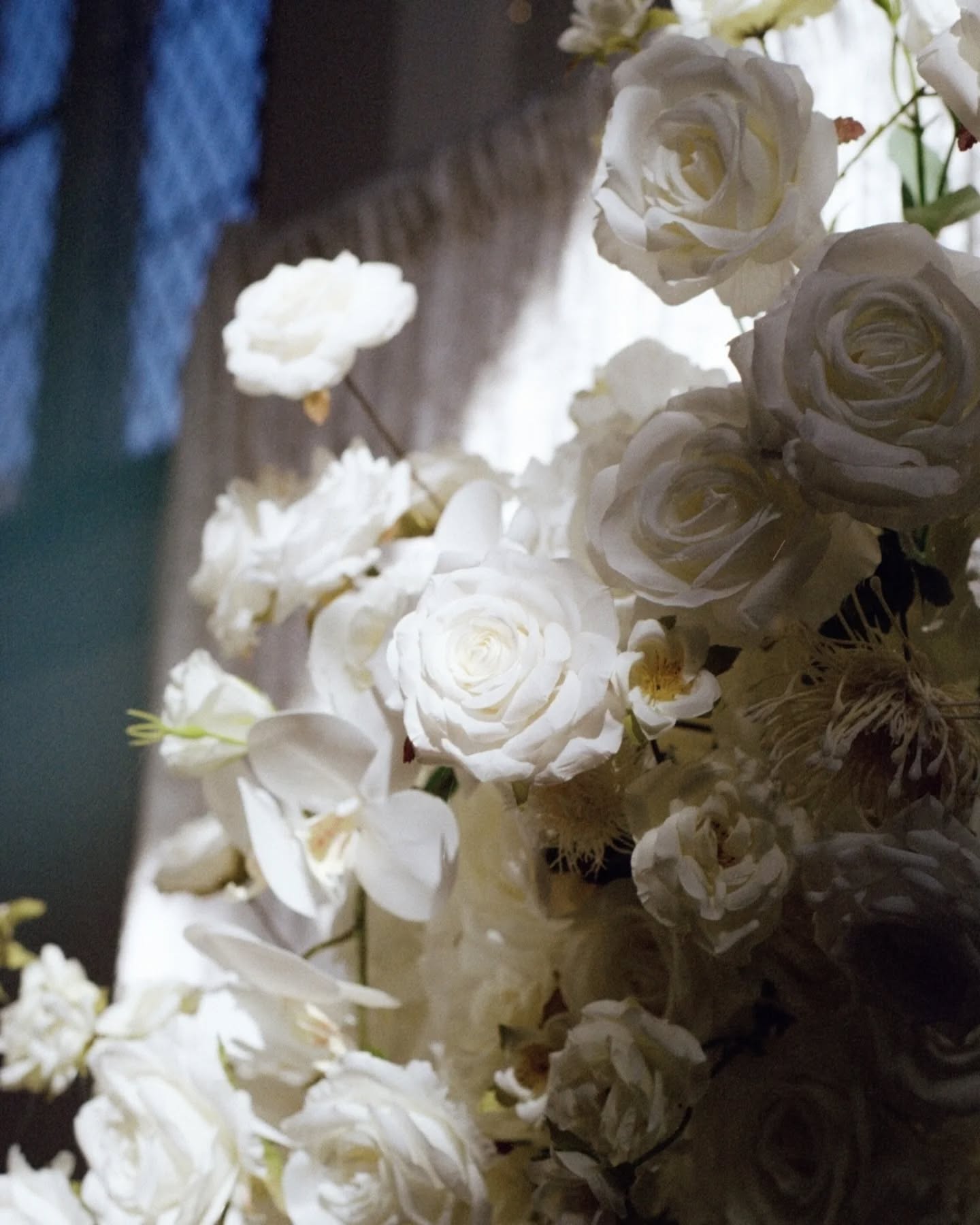 Priya & Kamen on 35mm film 🎞️
@theoldlibrary_