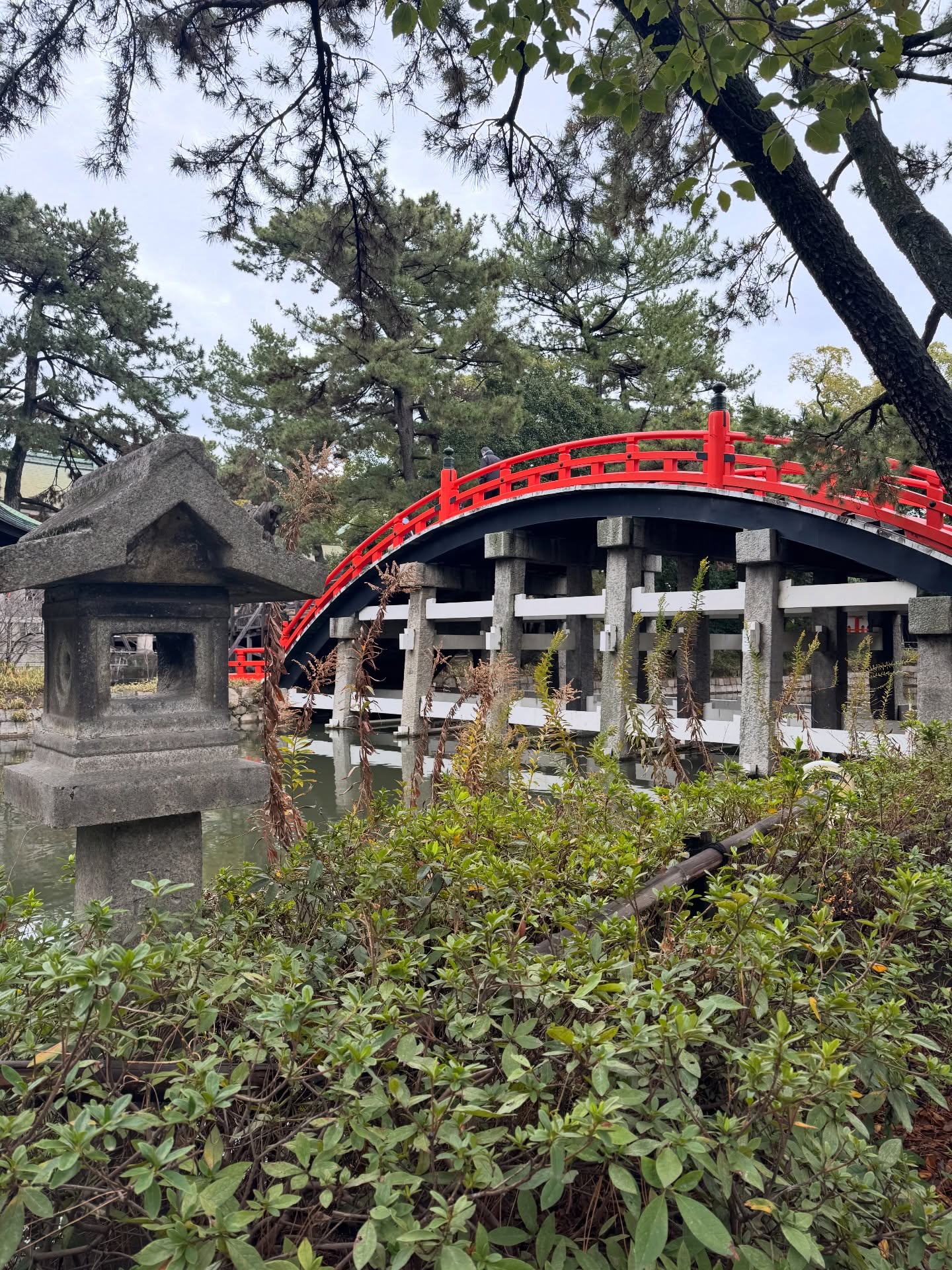Sumiyoshi Taisha ⛩️
Un sanctuaire paisible avec son célèbre pont rouge, totalement à part du reste de la ville.
Puis changement d’ambiance à Dotonbori, avec le mythique Glico sign, symbole d’Osaka qui ne dort jamais.
Deux atmosphères, une même ville ✨
#Osaka #SumiyoshiTaisha #Dotonbori
#JapanTrip #voyagejapon