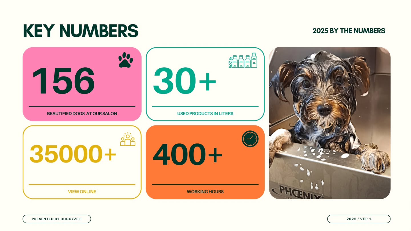 DoggyZeit 2025: Our Year in Numbers! 🐾✨ Wonderful, thank you so much! ❤️
They say a picture is worth a thousand words – but sometimes numbers tell the best story. 📖
The year 2025 was simply incredible at the Doggy Zeit dog salon! 😍
We look back on a year full of frizz, wagging tails, and lots of love.
Here's a little recap of what we achieved together with your furry friends:
Our 2025 Highlights:
👉 We groomed 156 happy dogs in our salon! 🐶
👉 Over 30 liters of top-quality grooming products for the perfect shine! 🧴
👉 35,000+ online views – thank you for being part of our digital Doggy Zeit family! 📱
👉 Over 400 hours of work, filled with patience, precision, and passion at the grooming table. ⏰
A huge thank you to all of you for your trust and to your wonderful four-legged companions. You make DoggyZeit what it is! ❤️
Stay tuned – this week we'll be sharing even more exciting insights and stories from the past year! 📸✨
We're ready for 2026! Are you? ✂️🐩
#Doggyzeit #DogGrooming #YearInReview #DogLove #Vienna #DogGrooming #DogCare #ThankYou #2025Highlights