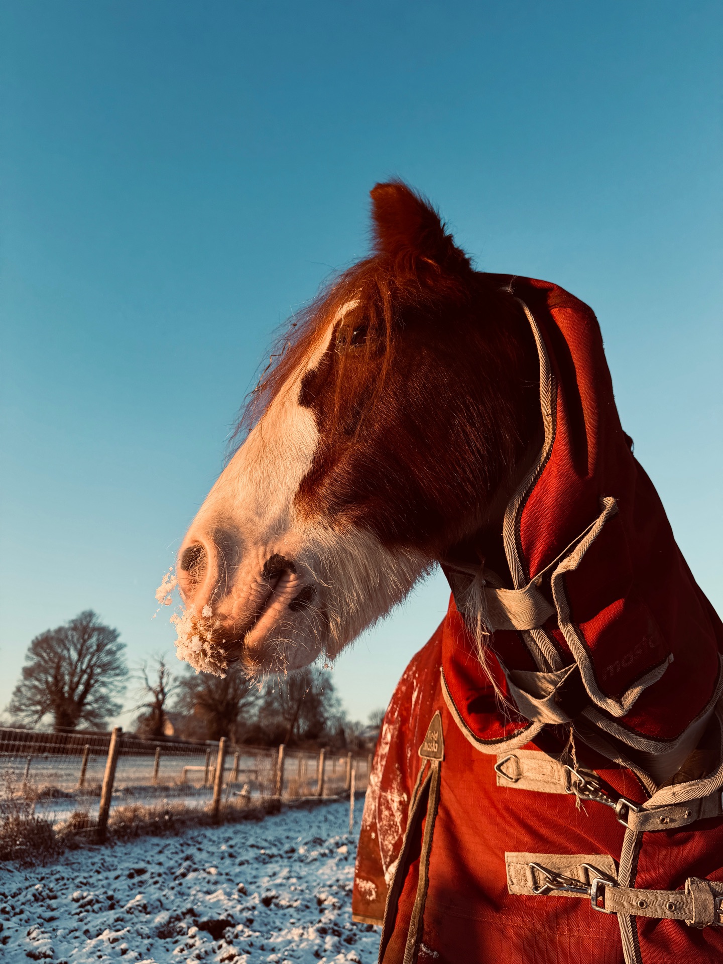 Our winter wonderland for the final day of Christmas Holidays ❄️❄️❄️❄️
With the ponies @snuggyhoods PJs to keep them a little warmer and a baking tray for fun we made the most of it 💙