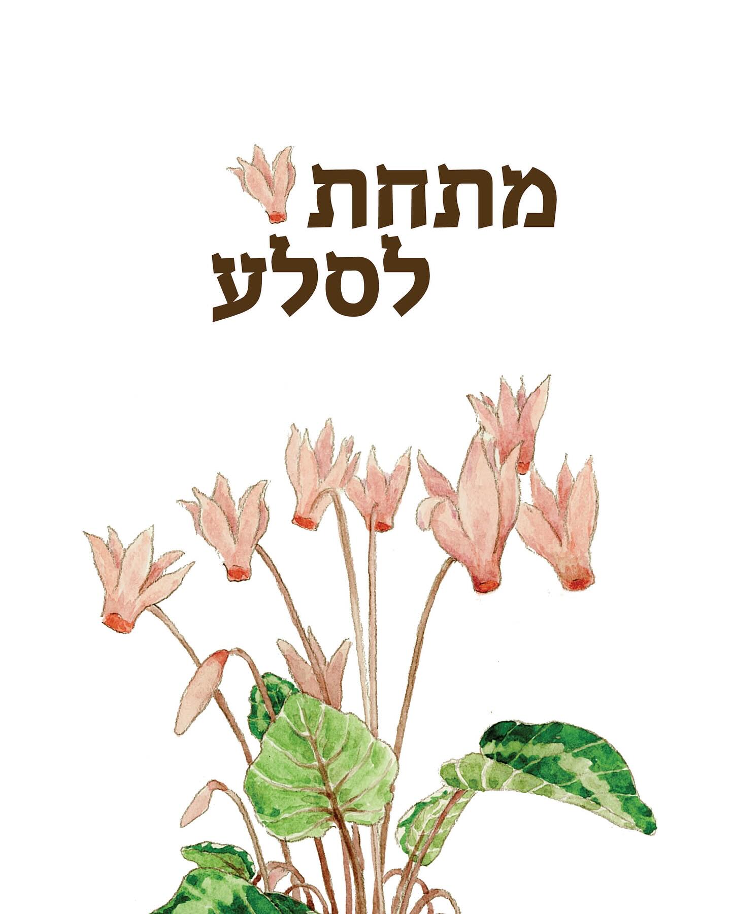 יש צמחים שמספרים סיפור:
של כוח ושל רוך, של נוכחות ושקט, של הופעה מרשימה והיעלמות עדינה.
כזו היא #רקפת.
יש לה פקעת חזקה שיכולה לבקע סלעים -
ומעליה פרח עדין, שכולו מתיקות, רכות ויופי.
היא מגיחה עם גשמי הסתיו, מתמסרת לחורף בשיא פריחתה,
ואז, בשקט, נעלמת, משאירה אחריה זרעים, זיכרון, והבטחה לעונות הבאות.
הרקפת מזמינה אותנו להתבונן מקרוב:
בעלים הלבביים שכל אחד הוא מיוחד,
בקצב האיטי של הצמיחה,
ובחוכמה של צמח שיודע מתי להיות כאן - ומתי לפנות מקום.
גללו בקרוסלה - לסיפור המלא 🌸
.
.
.
.
.
.
#פרחבר #פרחיםבקנה #פרחיםמספרים #חורףבגינה #צמחיבית