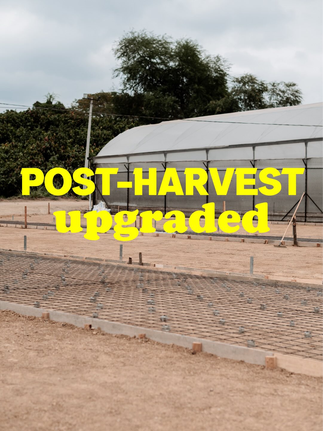 Post-harvest upgraded.
Weβre expanding our concrete patio, a critical element of our post-harvest flow, used for both fermentation and drying.
This upgrade improves process control, lot separation, and drying efficiency, all essential for managing quality with greater precision.
By increasing usable surface area, we can handle lots more consistently and generate better data to evaluate and refine our post-harvest decisions over time.
Once the expansion is completed, weβll be sharing the results. Stay tuned.π«π³π³
#PostHarvest #CacaoQuality #originmatters