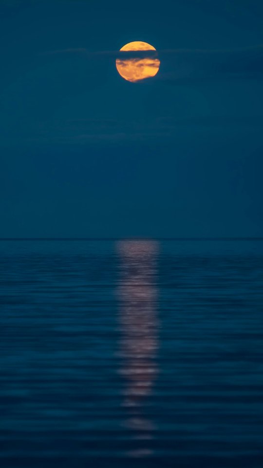 FIRST FULL MOON OF 2026
IN THE SIGN IF CANCER • WATER • WOMB • HEALING • NOURTURING • VULNERABILITY • FOUNDATIONS • HOME
2 days after a full moon we finish the long exhale and we take take back our breath. In that inhale, we feel the state of our heart.
We get to know the emotional power that each moon activates month after month.
We can receive a deeper understanding of what is needed for us ro release so that we attune our alignement with our intention, our purpose and our energy.
HOW DO YOU FEEL TODAY?
🌙✨️🤍