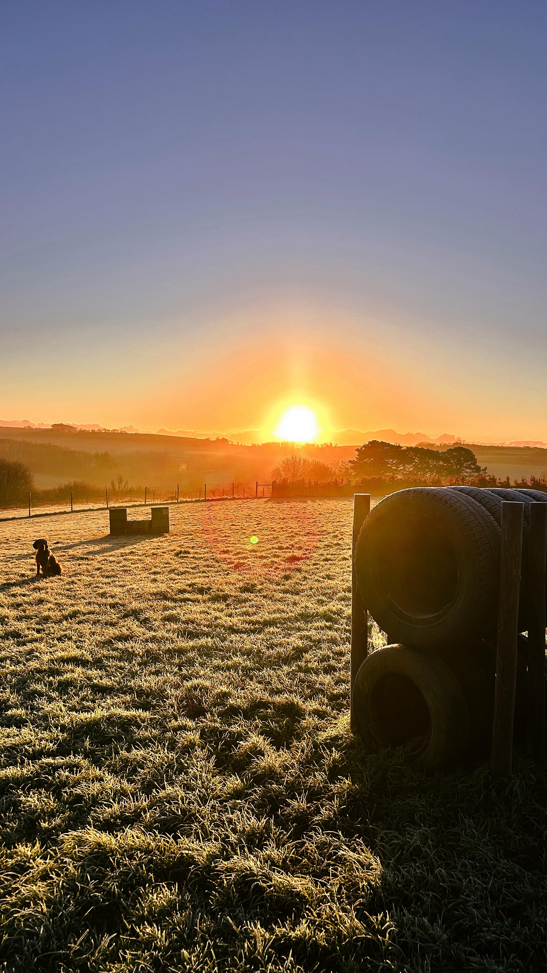 Winter can be tough, can’t it?
The dark mornings and evenings, the cold, the rain… the mud!! But then there are mornings like this that remind us of all the good ❄️
Frost-covered fields, the moon and sun sharing the same sky, and those beautiful winter sunrises and sunsets, without having to be up at silly o’clock or heading out late. And of course, that lovely festive feeling as Christmas creeps closer.. 🎄
What’s your favourite thing about winter?
#DogPark
#DogParkDevon
#SecureWalking
#DogField
#WinterInDevon
#WinterGratitude