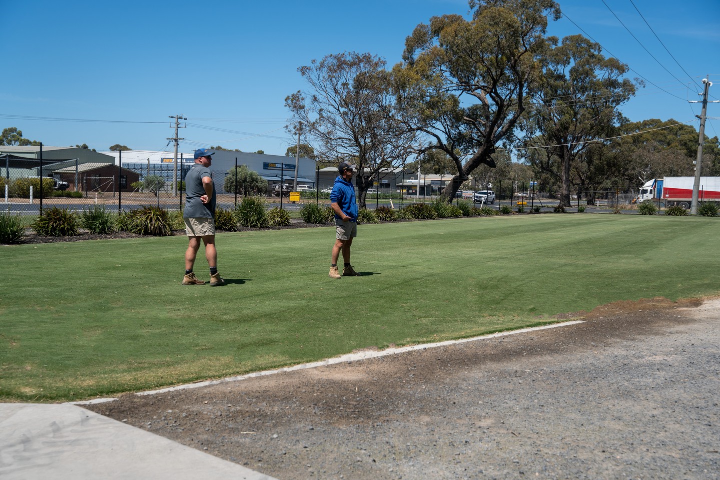 Pitch inspection 🌱