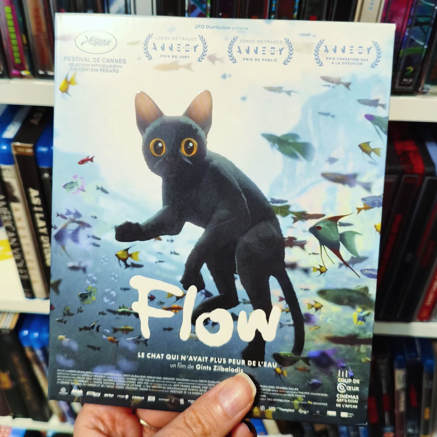 Flow by Gints Zilbalodis
The amount of emotions a silent movie about a cat can give is crazy.
I don't want to say anything because I think it's best to find everything out by yourself but Flow is an absolute fucking banger.