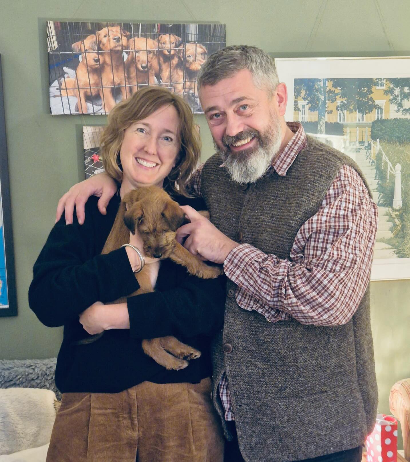 And finally, Miss Blue, “Nod”, on her way to Devon for seaside walks and lots of great times with her cousin, Oppo who was one of Nellie’s first pups. ❤️😍 #keepitinthefamily #puppies #puppy #irishterrier #irishterriers #irishterriersofinstagram #dog #newhome #newfamily #newadventures #goodbye #flyingthenest