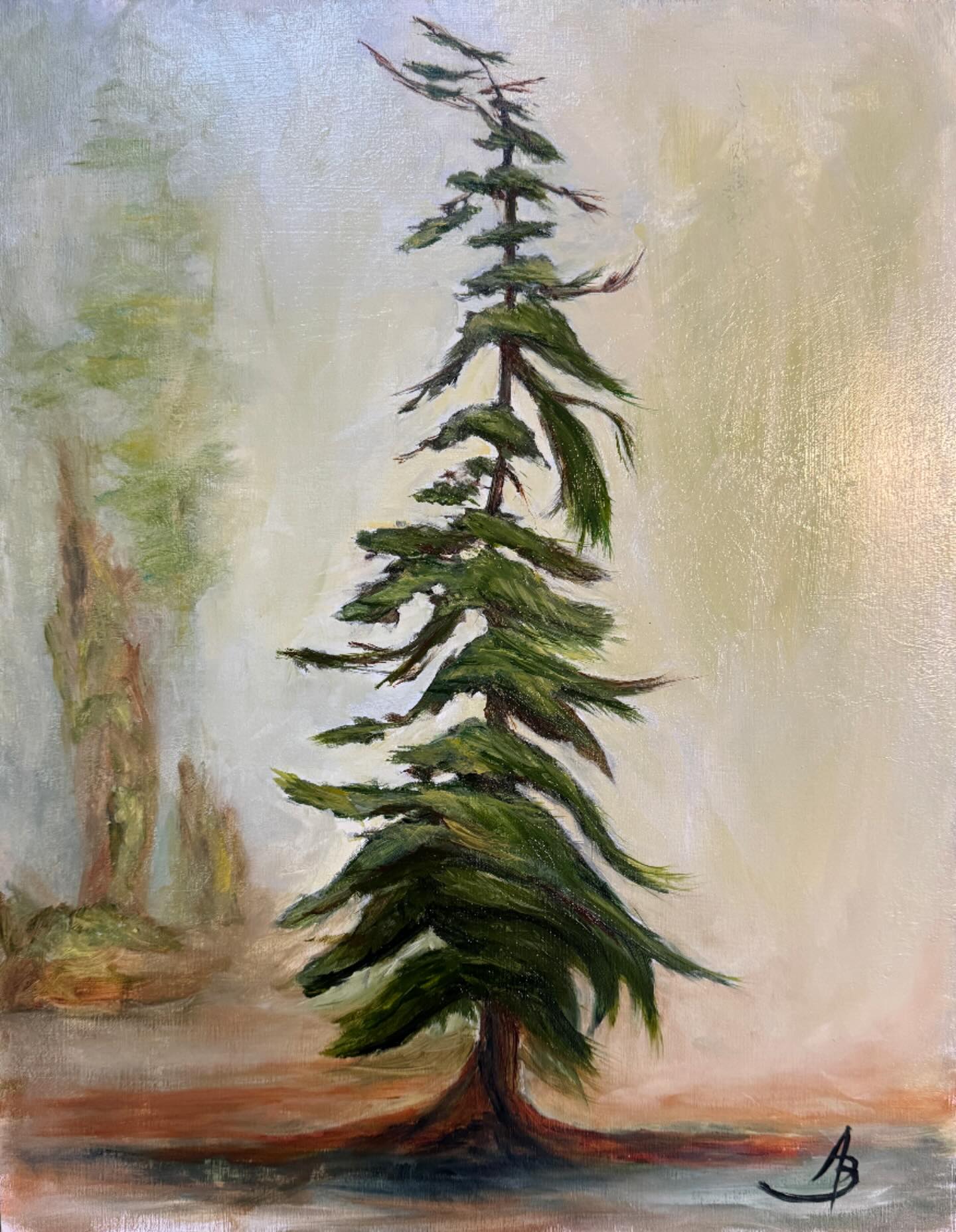 Pablo Picasso once said, “A work of art is never completed, only abandoned at the right moment.” I think this is the right moment for me to abandon this one. 16x20 oil on standard cradled wood panel. Title TBD.
(Also really hating IG’s downplay of hashtags)
#oilpaintingartist #westcoastartist #canadianartists🇨🇦 #firtrees #daggerbrush