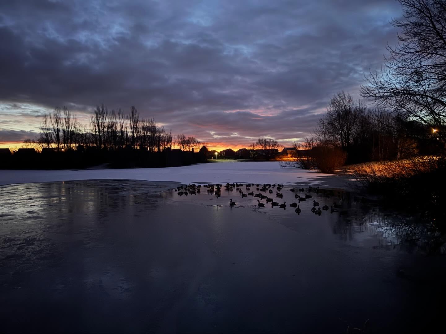 Captured this morning on my dog walk 🌅
#YTOwinter #getmoving #getoutside ##YTO