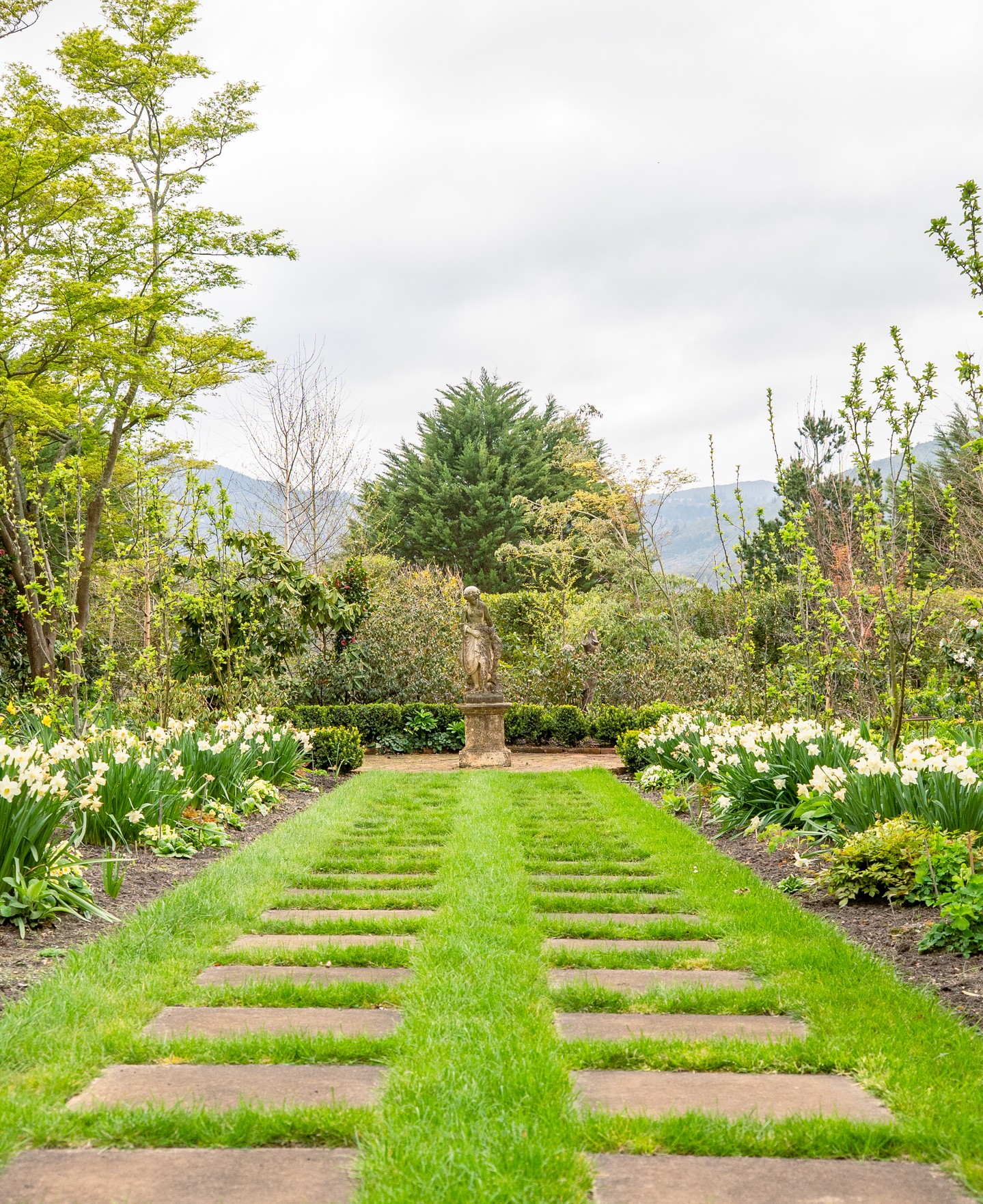 From grand estate gardens to small-town courtyards, we’ve got the materials to match every scale of project.
Our extensive range of landscape supplies has helped shape some of the Macedon Ranges’ most iconic private gardens - and plenty of local backyards too.
.
.
.
.
.
.
#macedonnursery #macedongardensupplies #macedonrangesgardens #macedon #macedonranges #mountmacedon #woodend #gisborne #melbournegardens #macedonrangesnaturallycool #visitvictoria #landscapesupplies #gardenmaterials #australiangardening #localgardencentre #gardendesign
