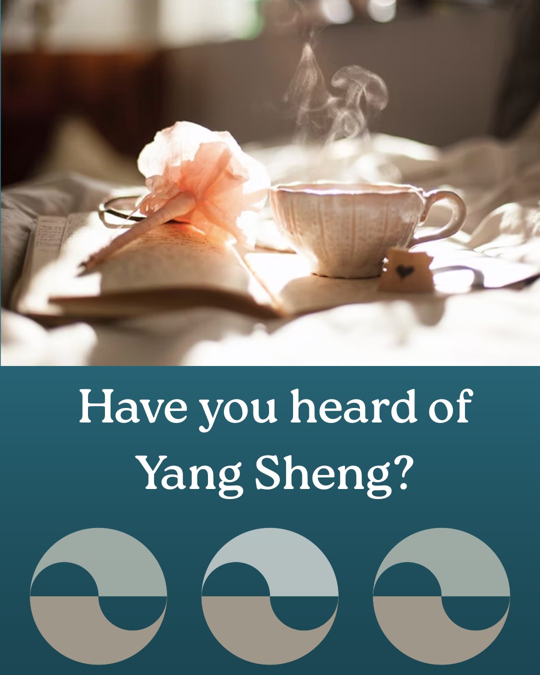 Most of us were taught to think about health only once something goes wrong.
Yang Sheng offers a different perspective.
In Chinese medicine, Yang Sheng means “to nourish life.” It’s the idea that health is something we cultivate quietly, every day—through how we eat, rest, move, and respond to stress.
This philosophy has been shaping my own life more deeply lately, thanks in large part to my dear friend @thewayofyin, who truly lives Yang Sheng. She has taught me again and again—by example—that it is not only okay to slow down, it is often exactly what the body needs.
That wisdom feels especially relevant during times of transition, like perimenopause, when the body asks for more steadiness and less force.
I just shared a new blog exploring:
• what Yang Sheng really is
• why it matters in modern life
• how it supports stress, hormones, and resilience
• how acupuncture fits into this way of caring for the body
If you’re curious about a gentler, more sustainable approach to health, the full blog is now live.
👉 Read it via the link in my bio
✨ And if this resonates, I highly recommend following @thewayofyin for daily reminders of what it means to nourish life.