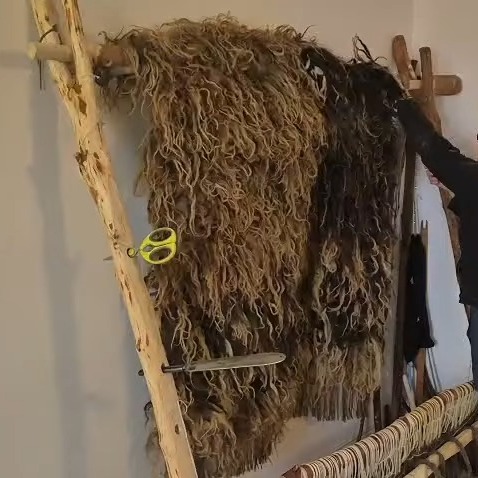 A quick video of me releasing a finished vararfeldr from the Crystal Loom. This is a careful process of unwinding the completed cloth from the top of the loom, and the first time that I can see the pattern in full! The stick that falls down rather noisily is one that I put into the coiled cloth while winding it up to keep the cloak lying straight.
#weaver #handwoven #vikingweaving #vikingcloak #vararfeldr #vikingreenactment #vikingcraft #heritagecraft