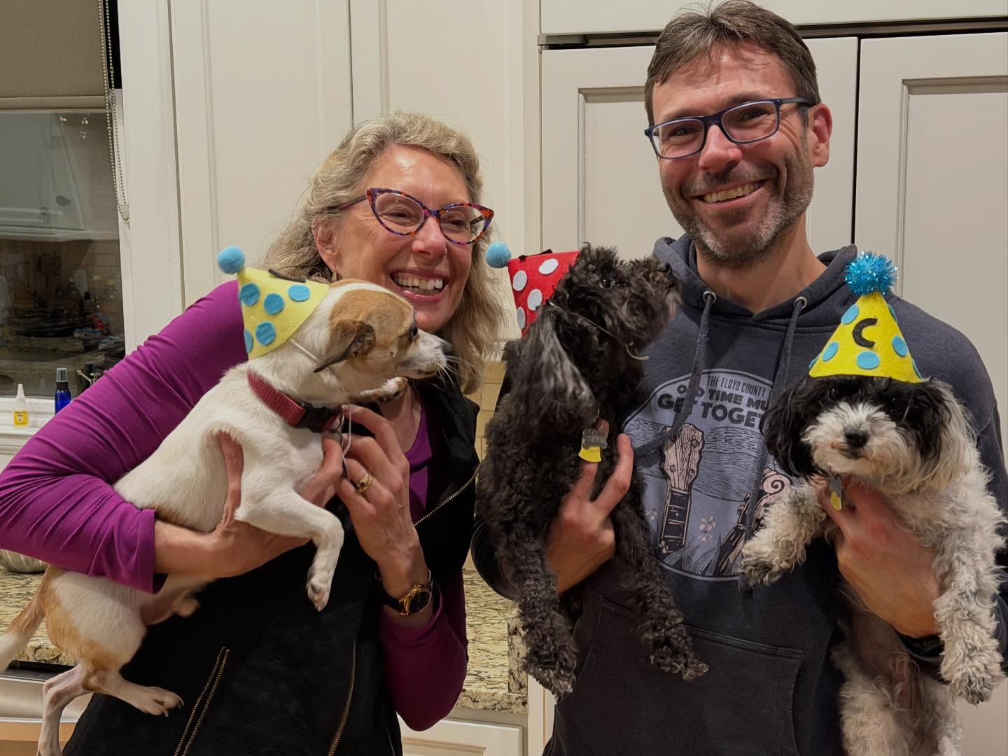 Today Tukkie celebrated his fifth birthday! Sharing carrot-sweet potato-beef cupcakes with Cooper and his best friend Loki.