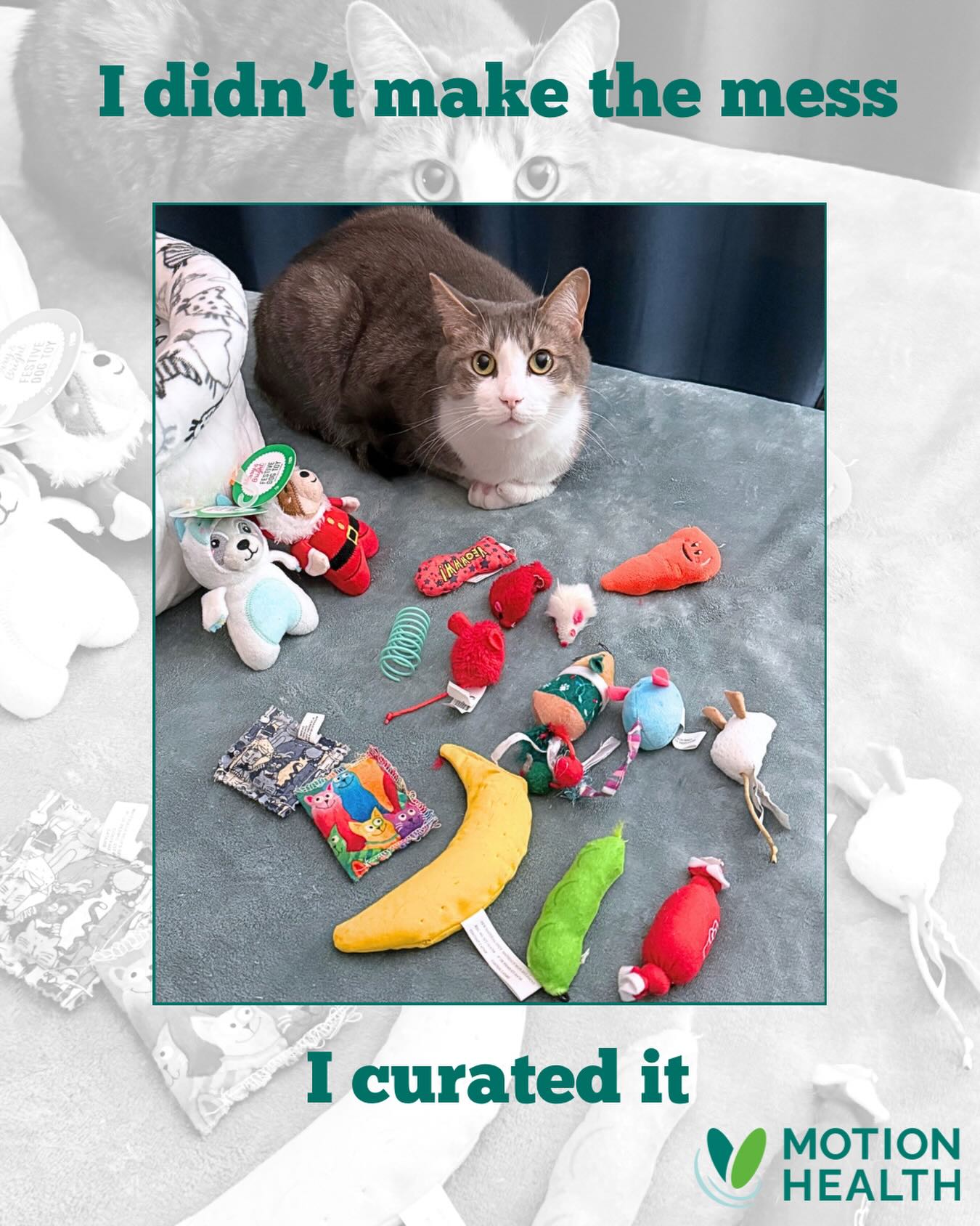 Happy Friday!
Hope you can curate some fun this weekend.
#motionhealth #fridayfunday #painfreeliving #preventrepairrestore