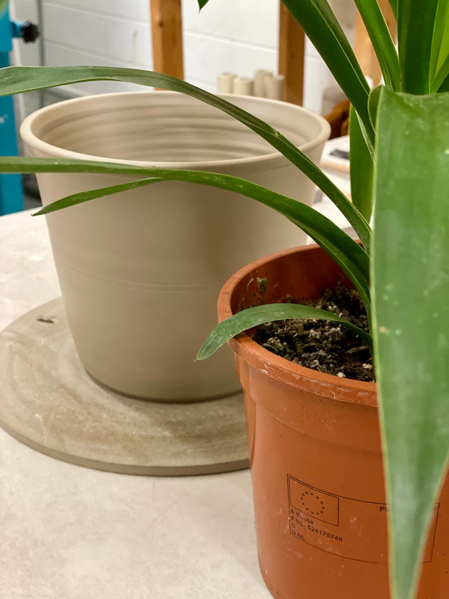 Happy New Year!
I’m throwing a pot a day during this year, started with this plant pot for my lovely son’s new plant.
If you’re feeling inspired to give pottery a try this year, why not join us at Binnie Pottery - it’s great fun!
#potterylessons
#potteryexperiences
#thegreatpotterythrowdown