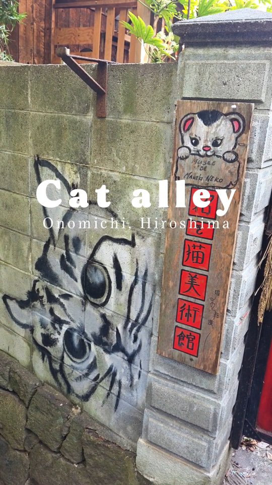 Onomichi, a nostalgic seaside town in Hiroshima. Explore "Cat Alley" to find 108 hidden lucky stones or test your "cat-lover" status with an omikuji.
#Onomichi #JapanTravel #NekoNoHosomichi #JapanHiddenGems #visitjapan