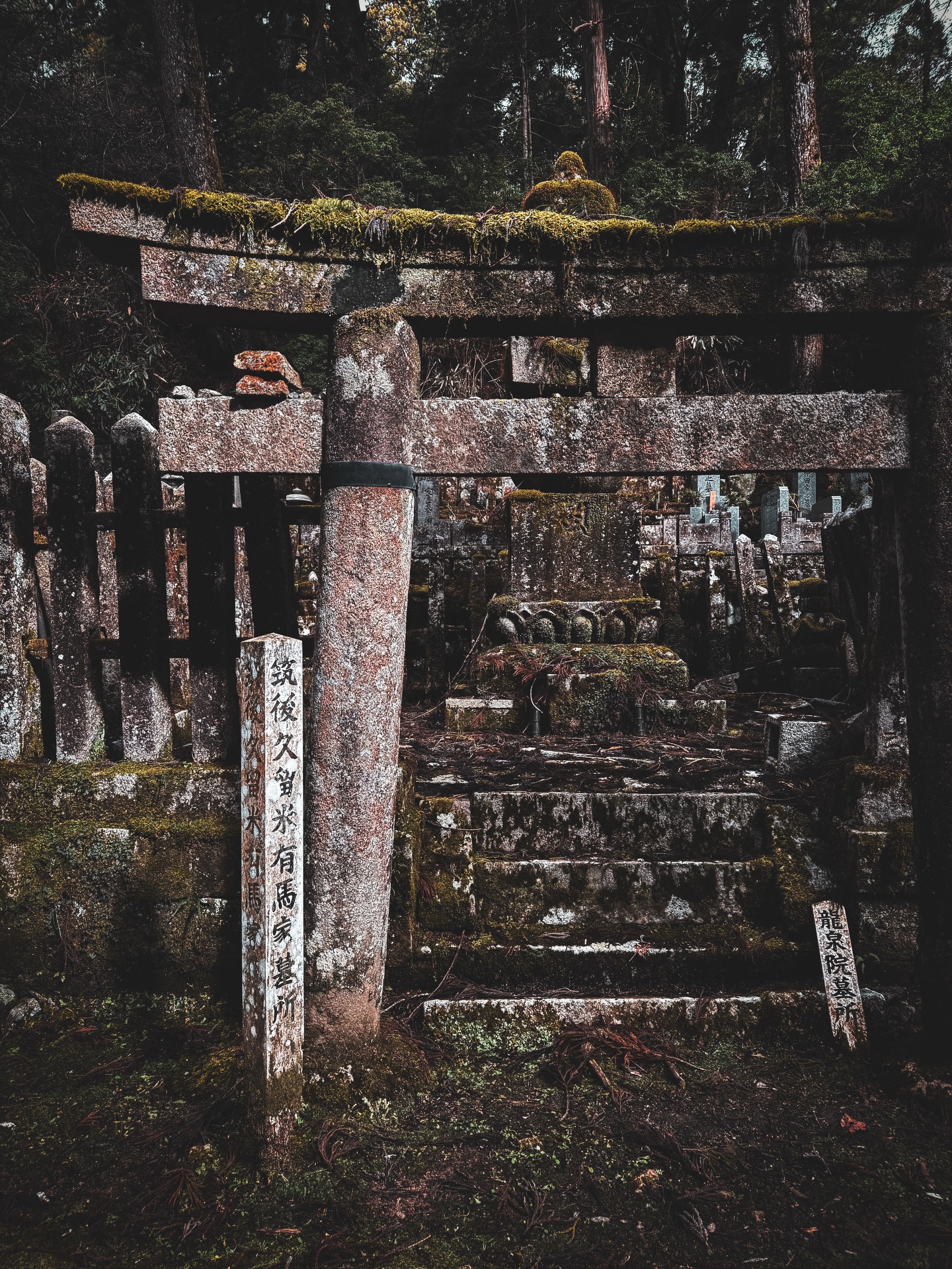 À Koyasan, j’ai vécu l’un des moments les plus mémorables de tout mon voyage au Japon.
J’ai dormi dans un temple, partagé le quotidien des moines, mangé une cuisine traditionnelle simple.
Assister à la cérémonie du feu, entendre les prières résonner au lever du jour…
Ce n’était pas une visite, mais une expérience.
Un moment de calme, de respect, de reconnexion.
Aujourd’hui encore, Koyasan reste l’un de mes plus beaux souvenirs de voyage ✨