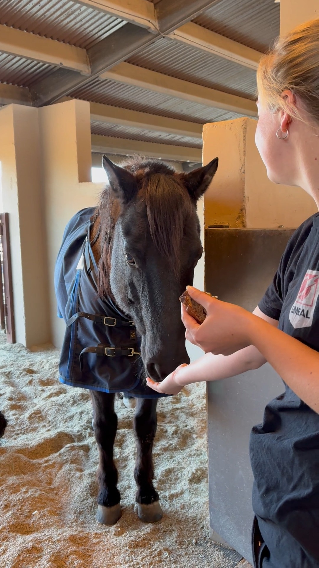 Happy Friday! Blue had the chance to try banana bread today and the reviews are mixed. Guess we'll stick with carrots from now on.