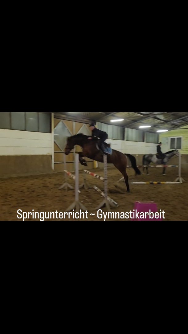 Gymnastikarbeit im Springunterricht bei uns 🐎
Drei Pferde – eine Linie.
Ausbildung mit Ruhe, Klarheit und Qualität.
Reitschüler, Beritt und Verkaufspferd gemeinsam im Training.
Vicky (erstes Pferd im Video) steht aktuell zum Verkauf.
Talentiertes Nachwuchsspringpferd mit viel Potenzial.
Bei Interesse an Unterricht oder Vicky gern per DM.
#springunterricht
#springpferd
#pferdeausbildung
#gymnastikarbeit
#verkaufspferd
#beritt
#springtraining
#horsejumping
#reitunterricht #maresilange