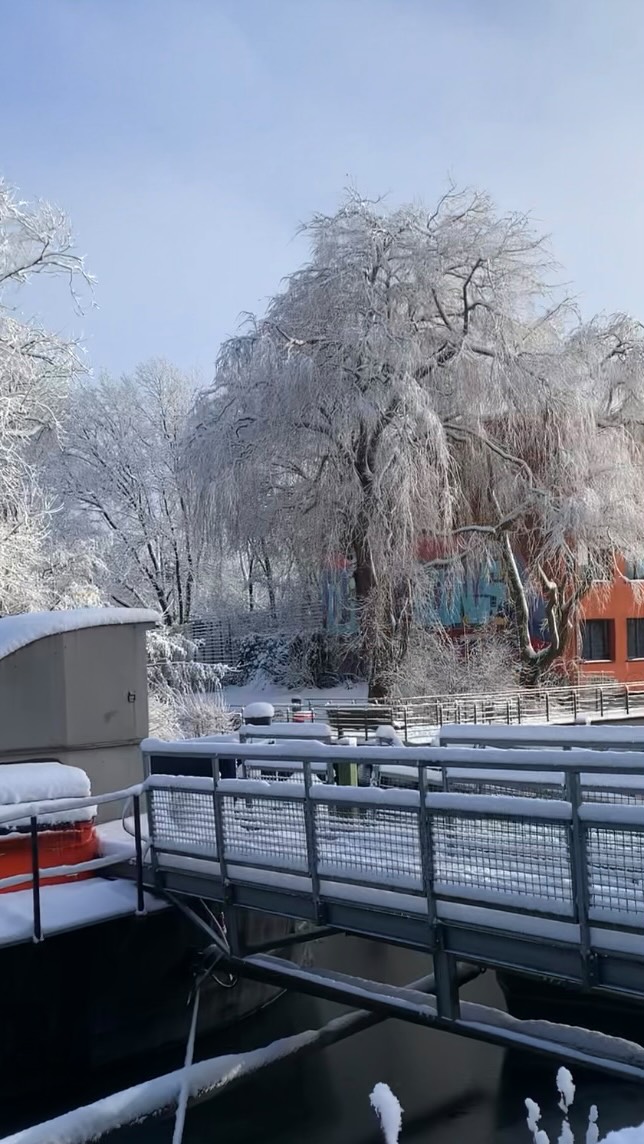 Ich glaub das war das kälteste Druckmanufaktur Wochenende bis jetzt. Wir trotzen den eisigen Temperaturen und drucken uns einfach warm. Extra Pulli, lange Unterhose und kuschelige Socken sind grad meine liebsten Begleiter.
Wie immer geben die Heizungen und ich unser Bestes, damit es sich in der Schute trotzdem so kuschelig wie möglich anfühlt ✨
#siebdruck #pixelprint #honigfabrik #workshopshamburg