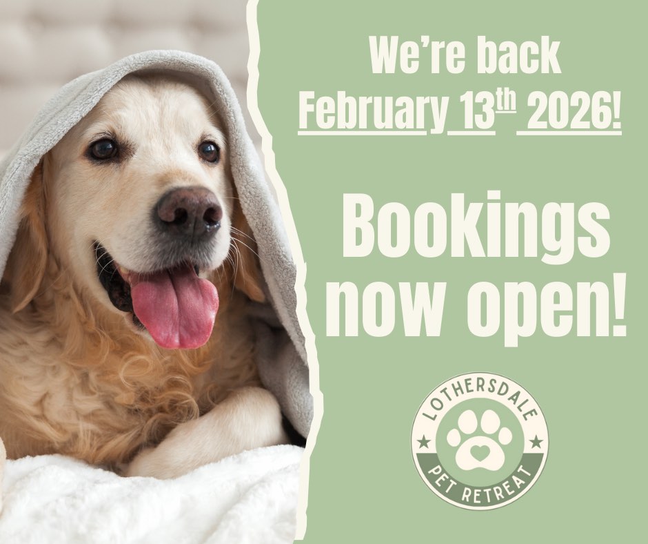 We’re getting everything ready for our February reopening and can’t wait to see all of our furry friends again soon 🐶 🐱 🐾
Bookings are open - if you’ve got holidays planned, nows the perfect time to book your pets stay.
Send us a WhatsApp message to check availability ✨