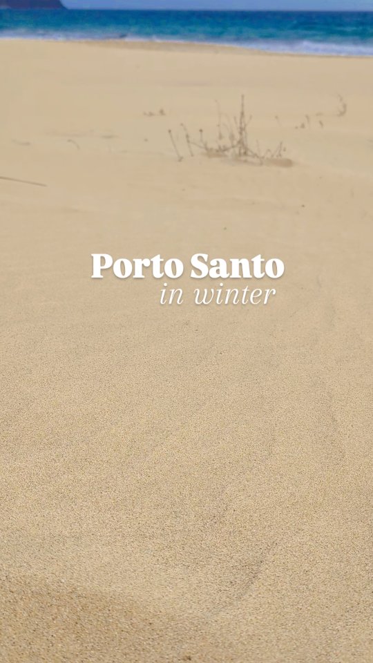 Porto Santo in winter...
🎯Empty endless sand dunes and sea view
🥑Green nature and harvesting
☕Time to restore forces (January/February)
#portosantoisland❤️ #portosantoisland #portugal #portosanto #photography #beach #holidays #minimal #beauty